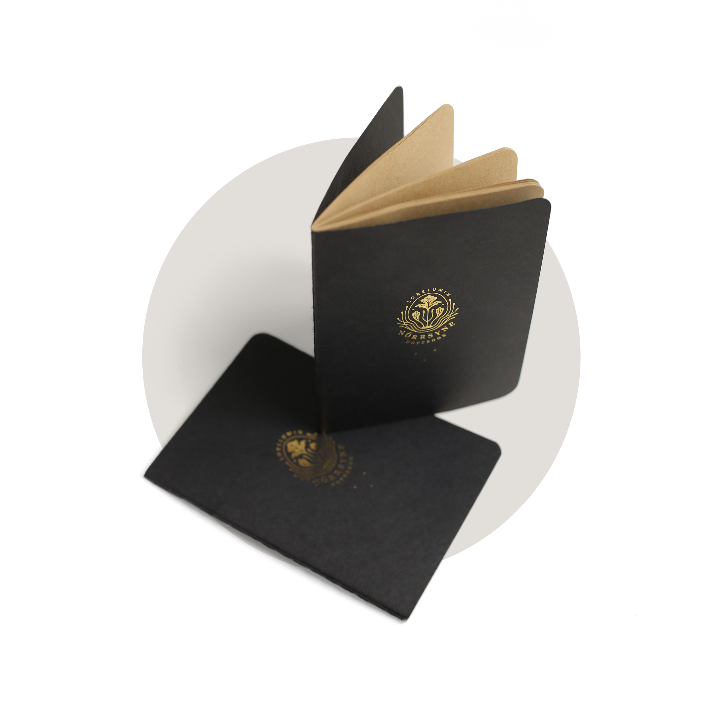 Norrsyne Notebook angle Transparent 3.png