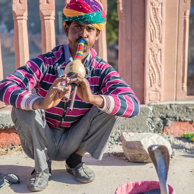 India2017_0104.jpg