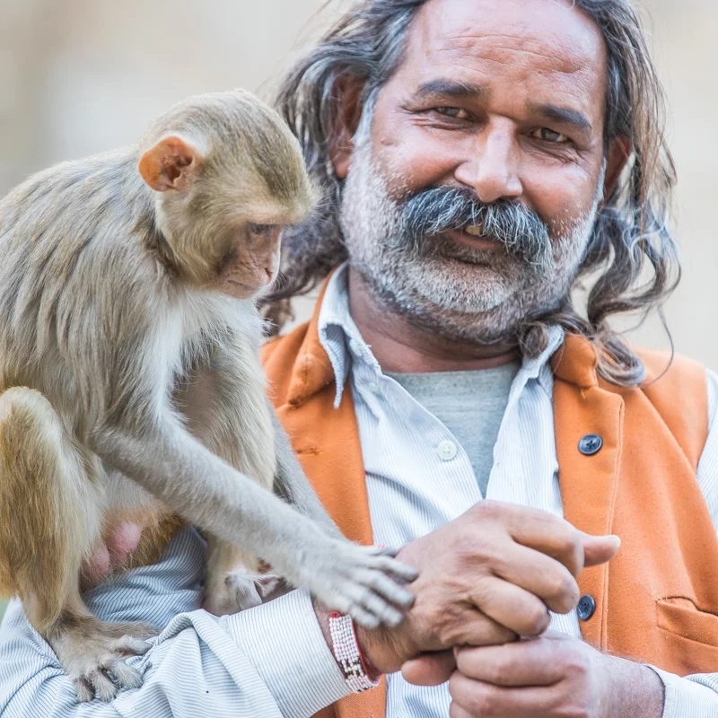 India2017_0285.jpg
