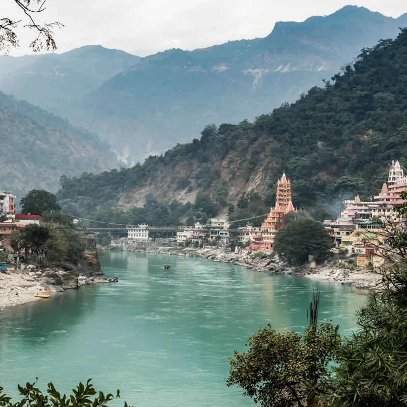 India2017_0937.jpg