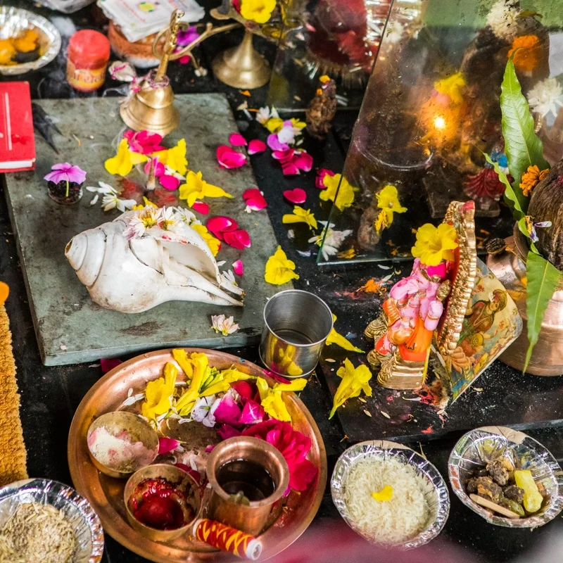 India2017_1031.jpg