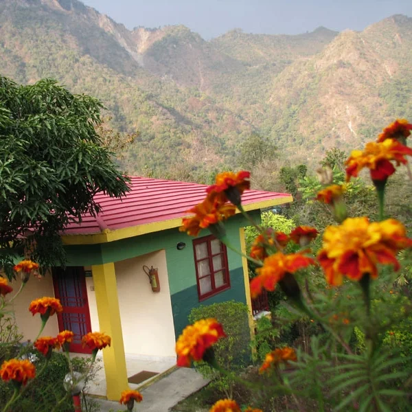 anand lok.jpg
