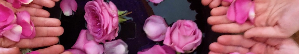 IMG_0639 copy.jpg