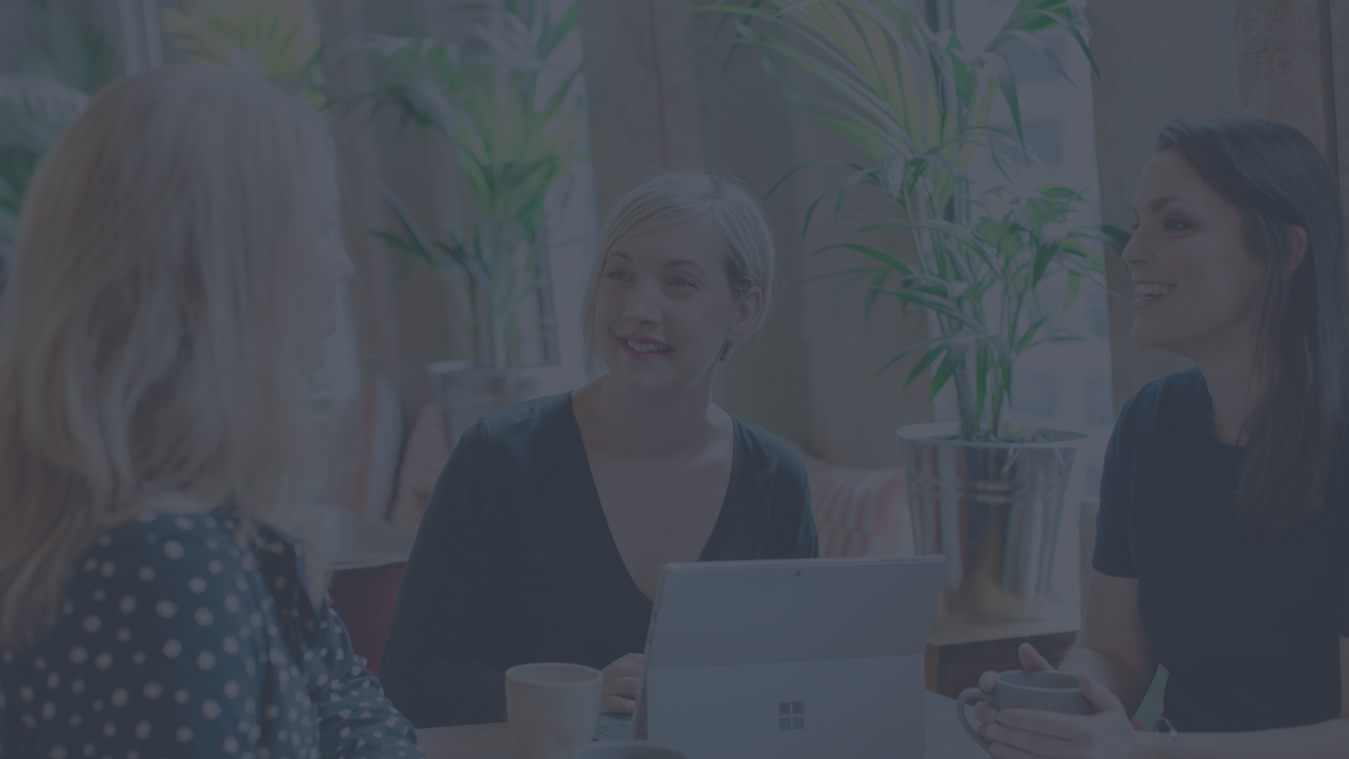 Untitled design (15).png