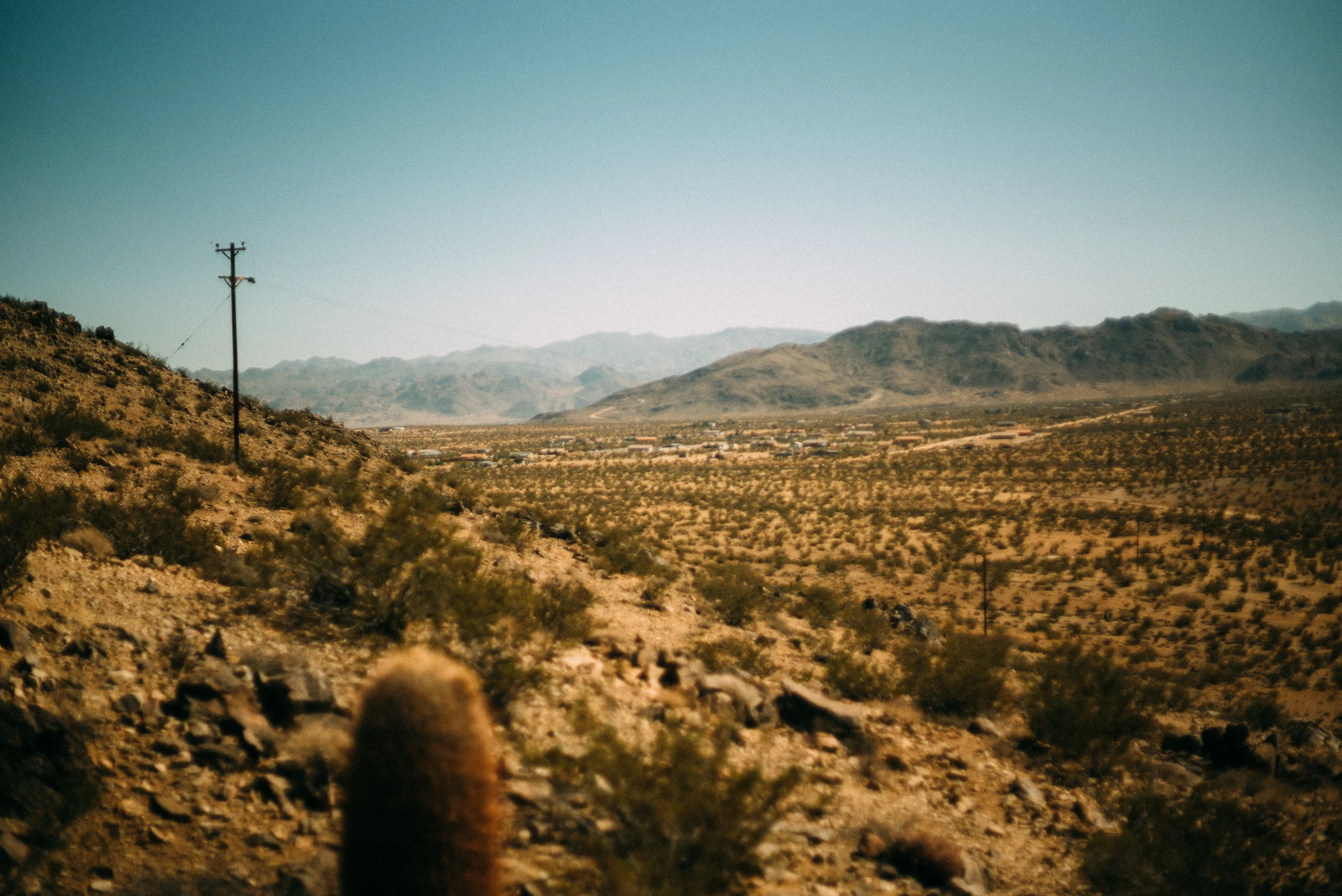BrentCowles-2.jpg