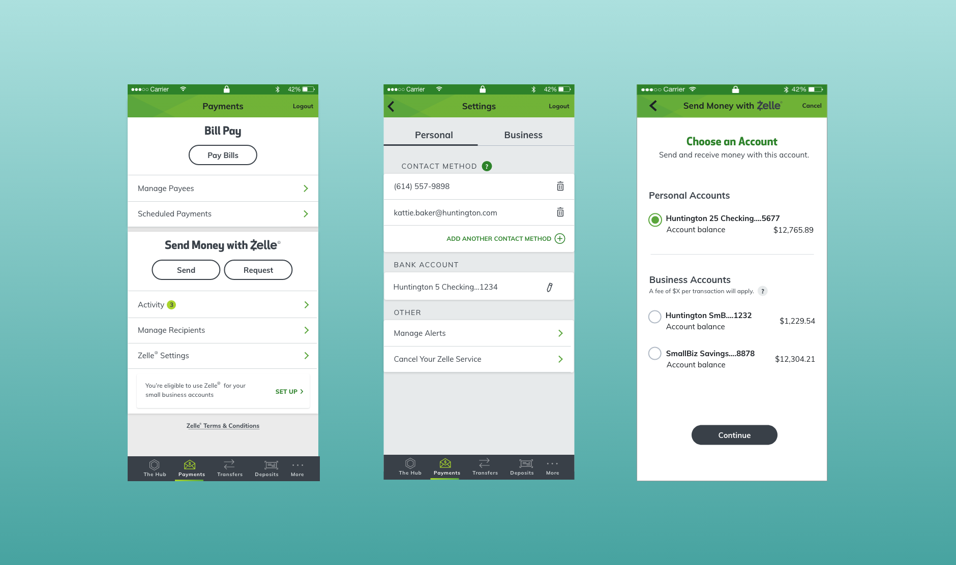 zelle intro image.png