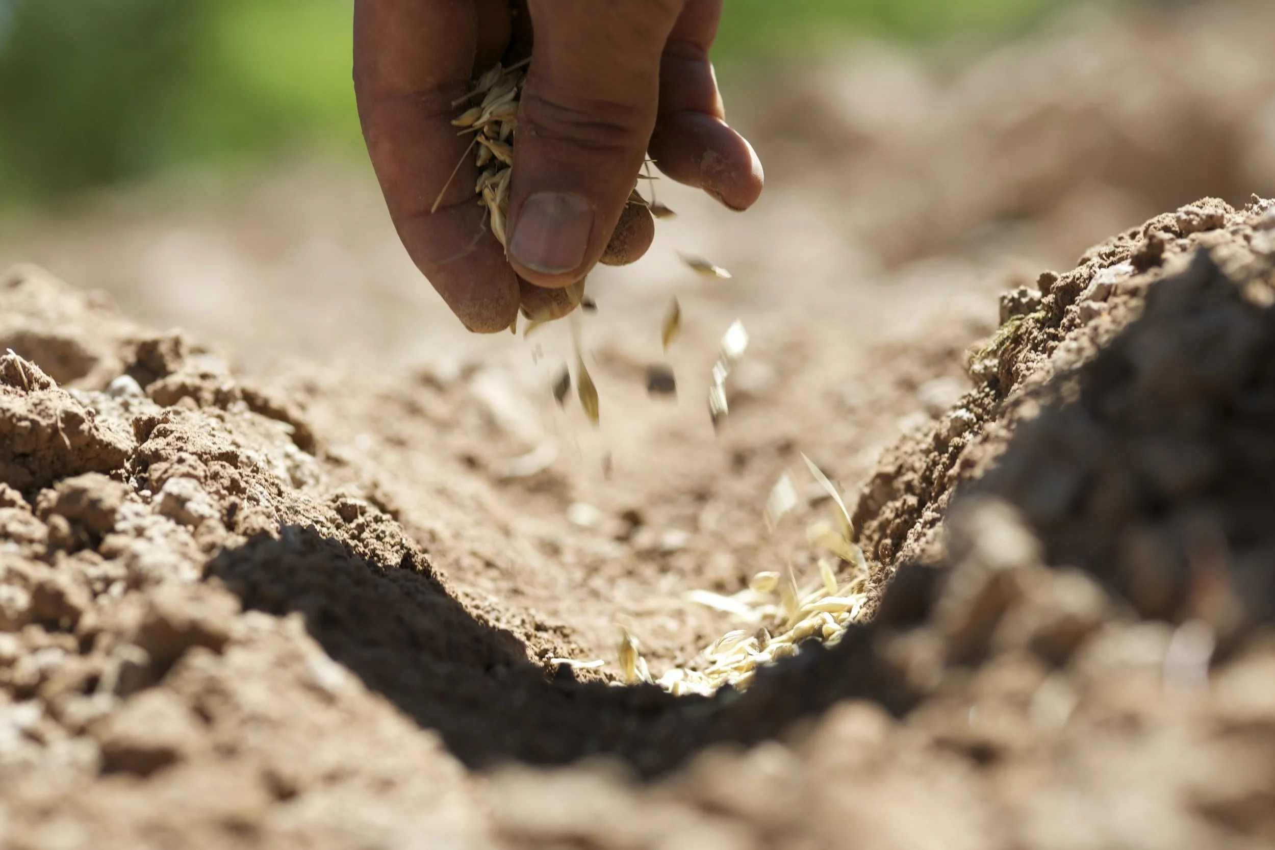 Character Before Influence