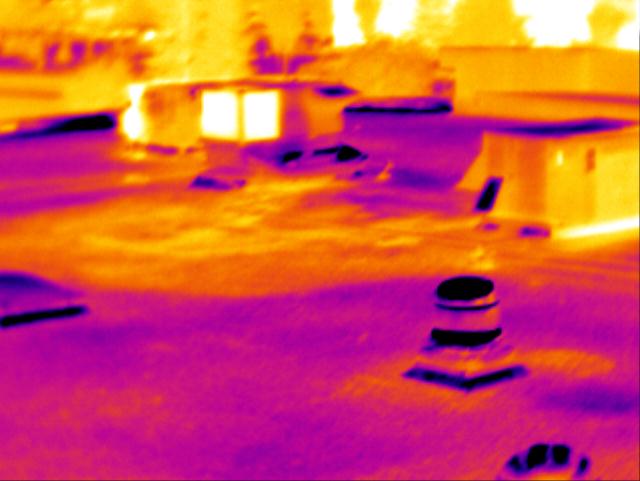 IR_01294.jpg