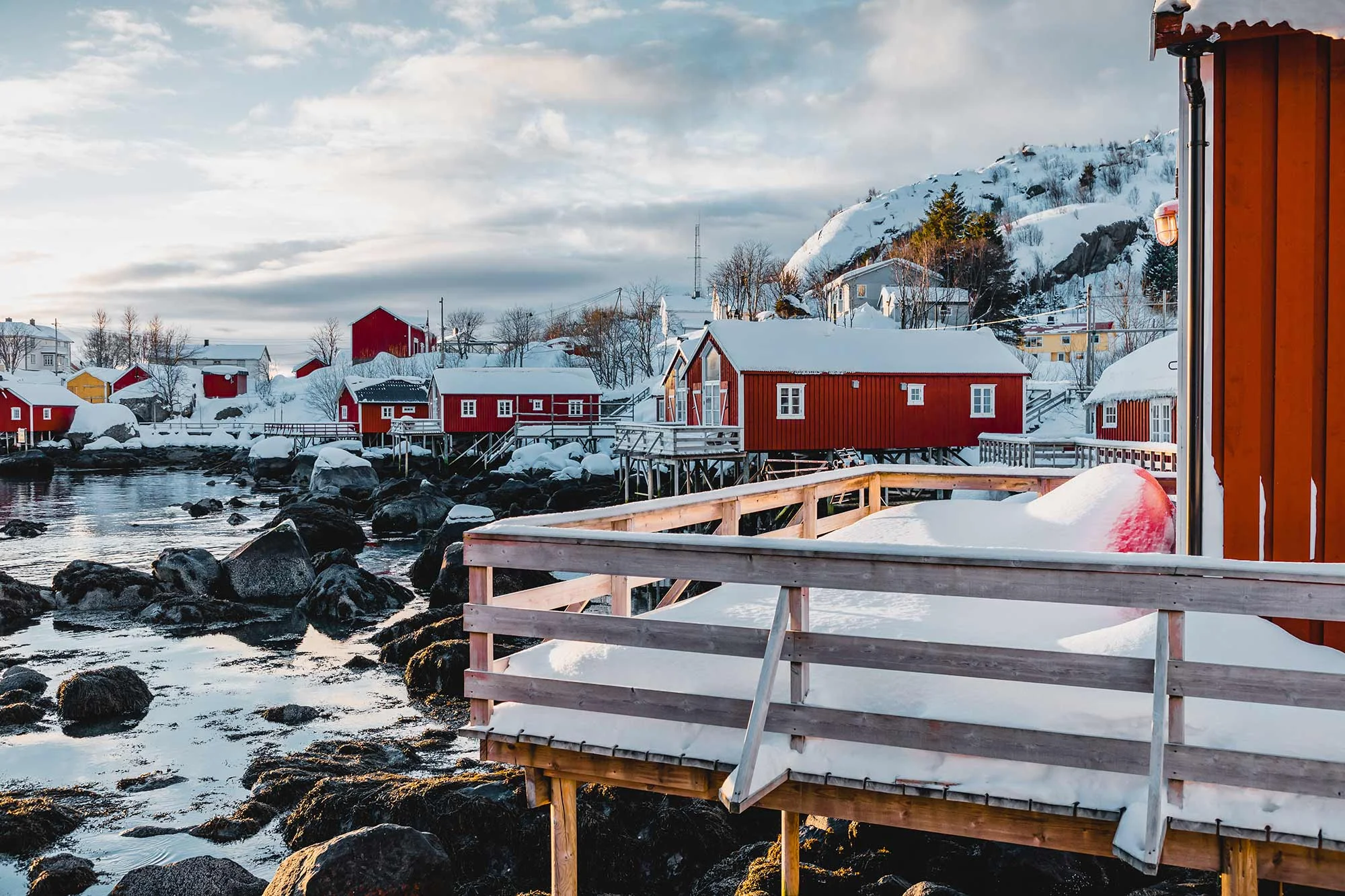 20190207_5DM4_Lofoten-Day-4_0210.jpg