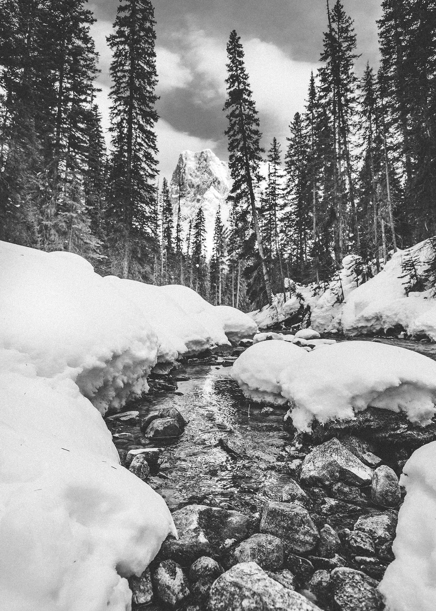 20220310_DK-Project_Canada-Banff-Jasper_Day-3_0191.jpg