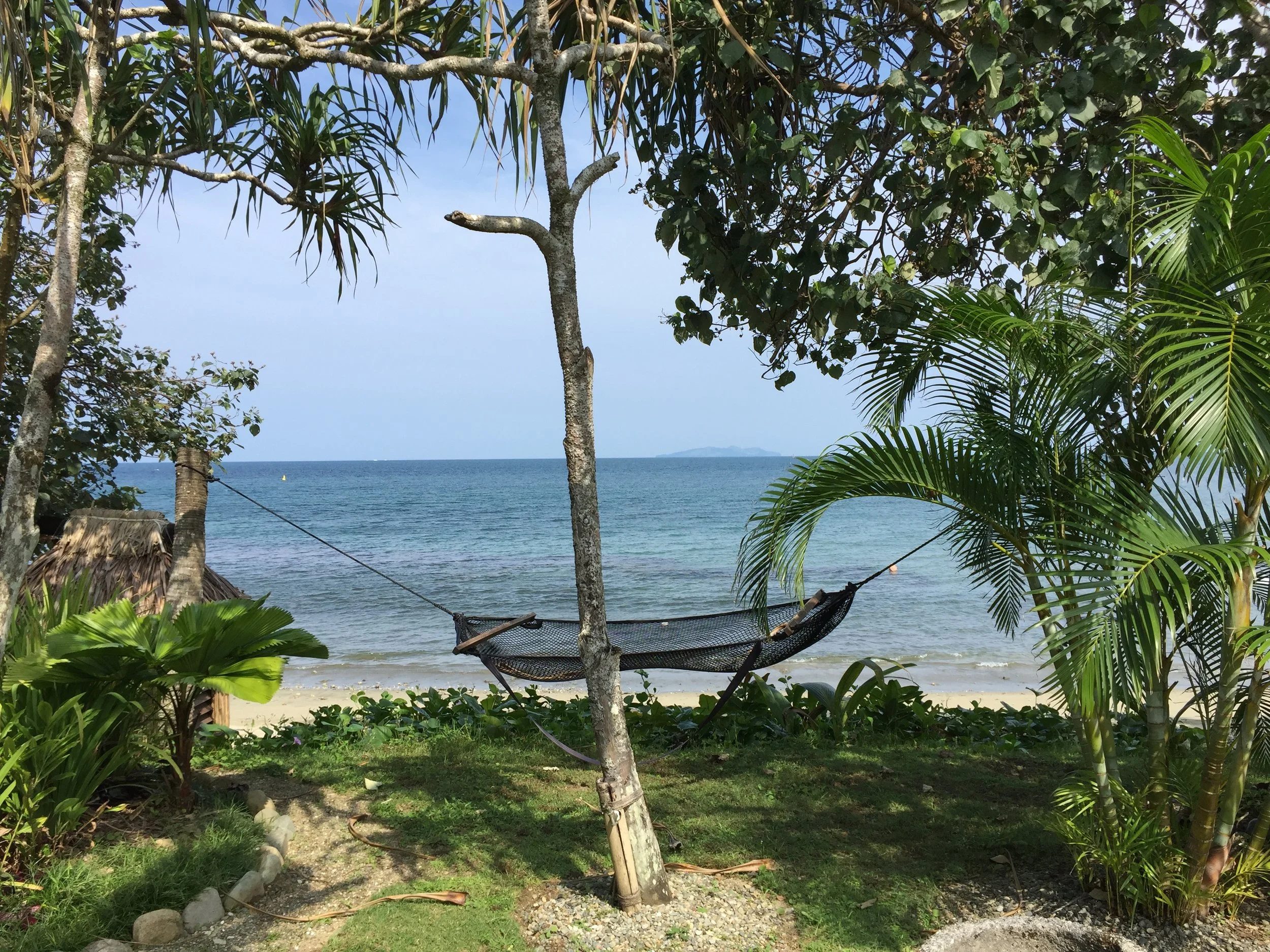 Our Hammock.JPG