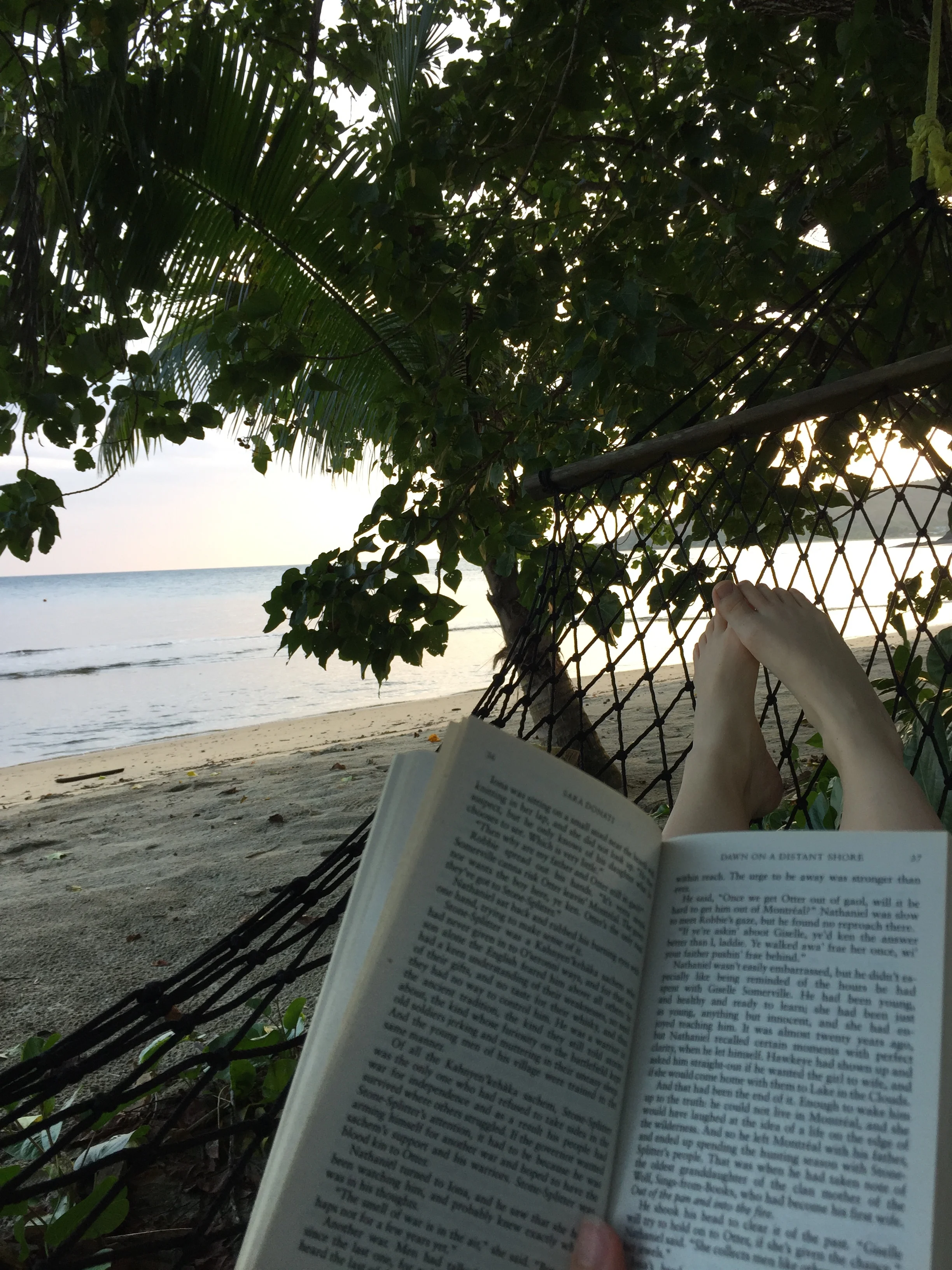 Beach Hammock.JPG