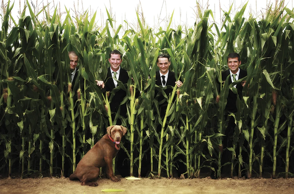 Dreamlife Wedding Photos &amp; Video