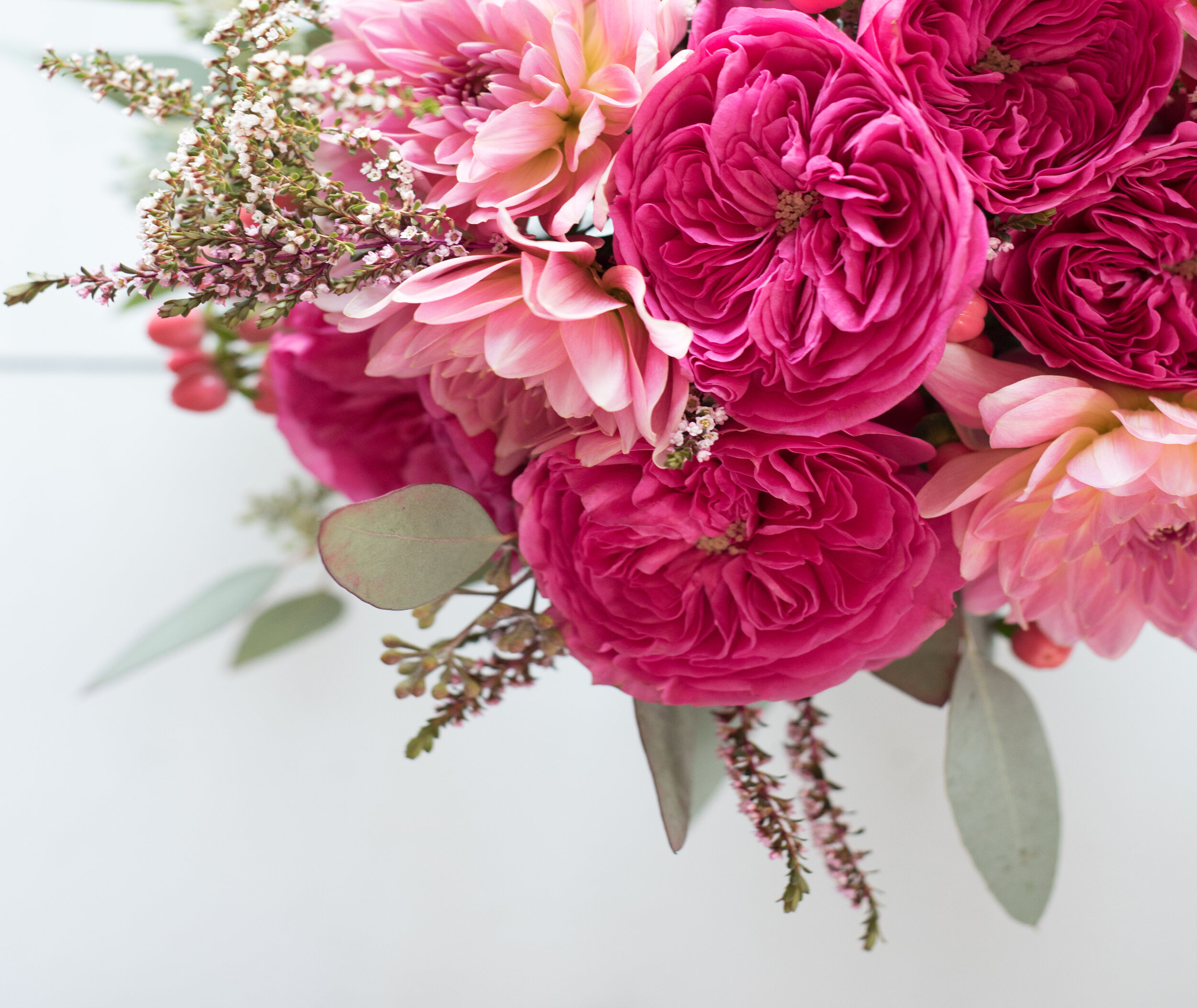 DelicateCollectionTWIGYposts-10 (1).jpg