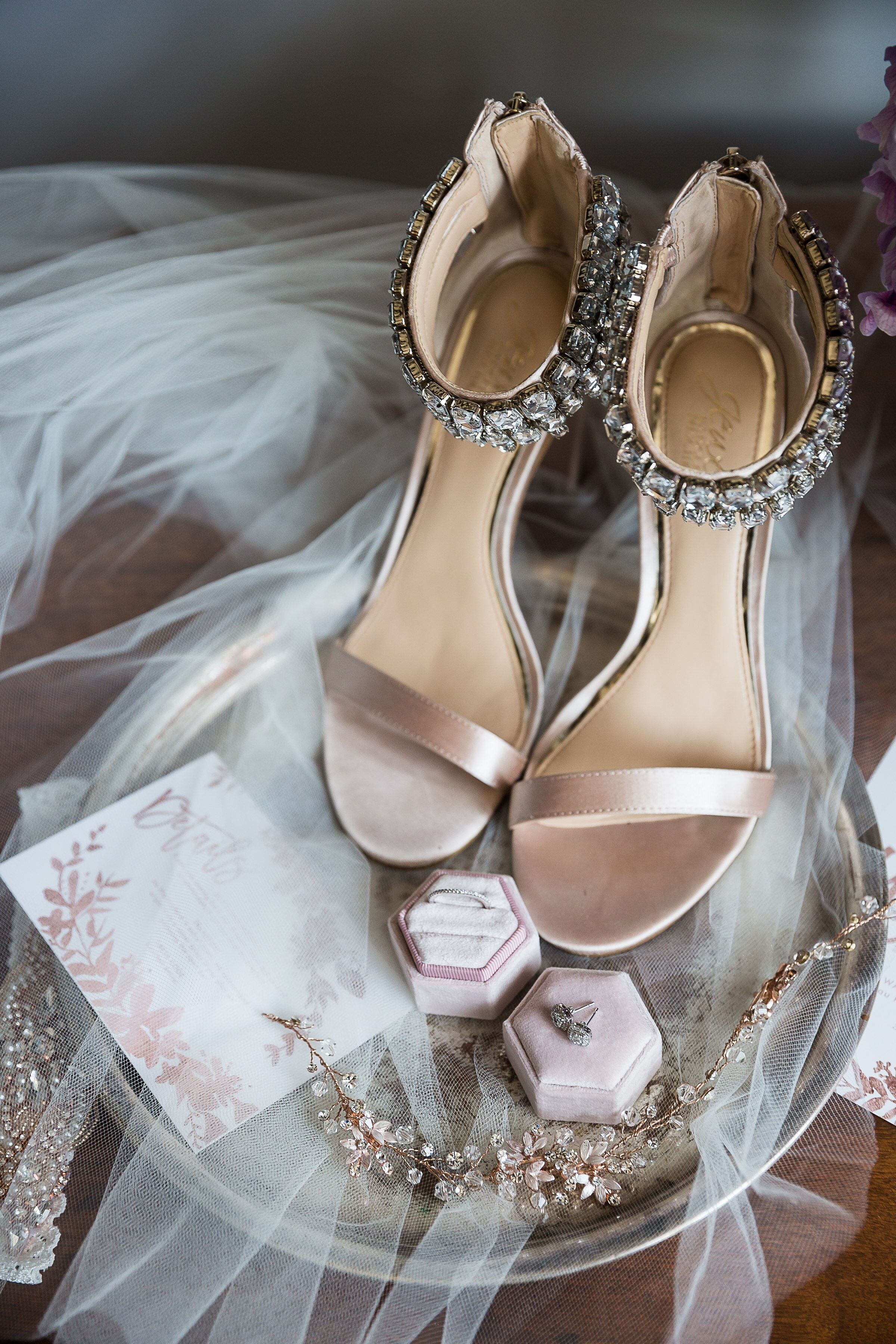 Chelsea Alishahi  - 354CC617-5493-4774-99F7-3A256BA8DDAA.jpeg