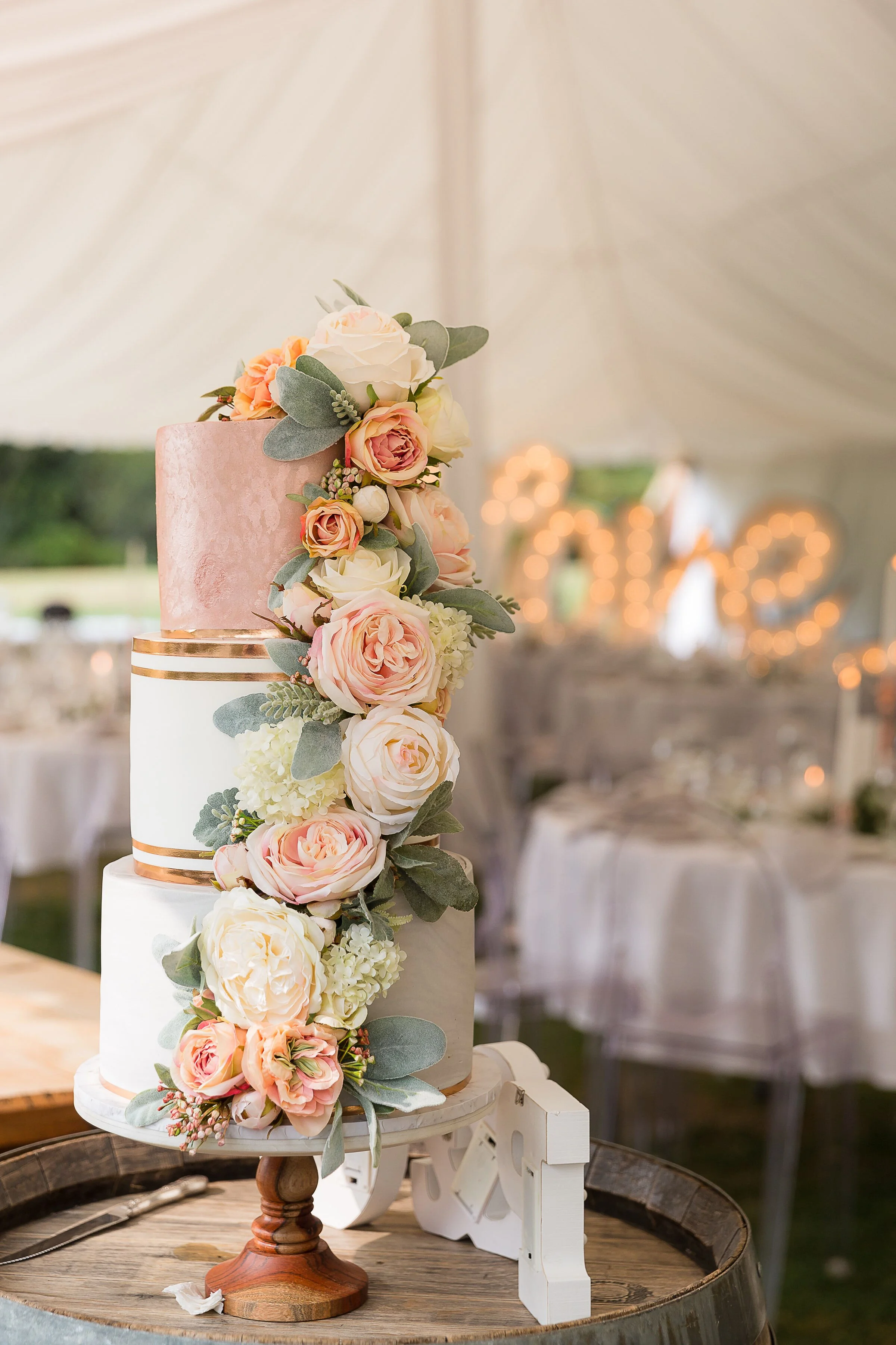 Chelsea Alishahi  - 2193F470-1C56-4917-9576-2BC01625E863.jpeg