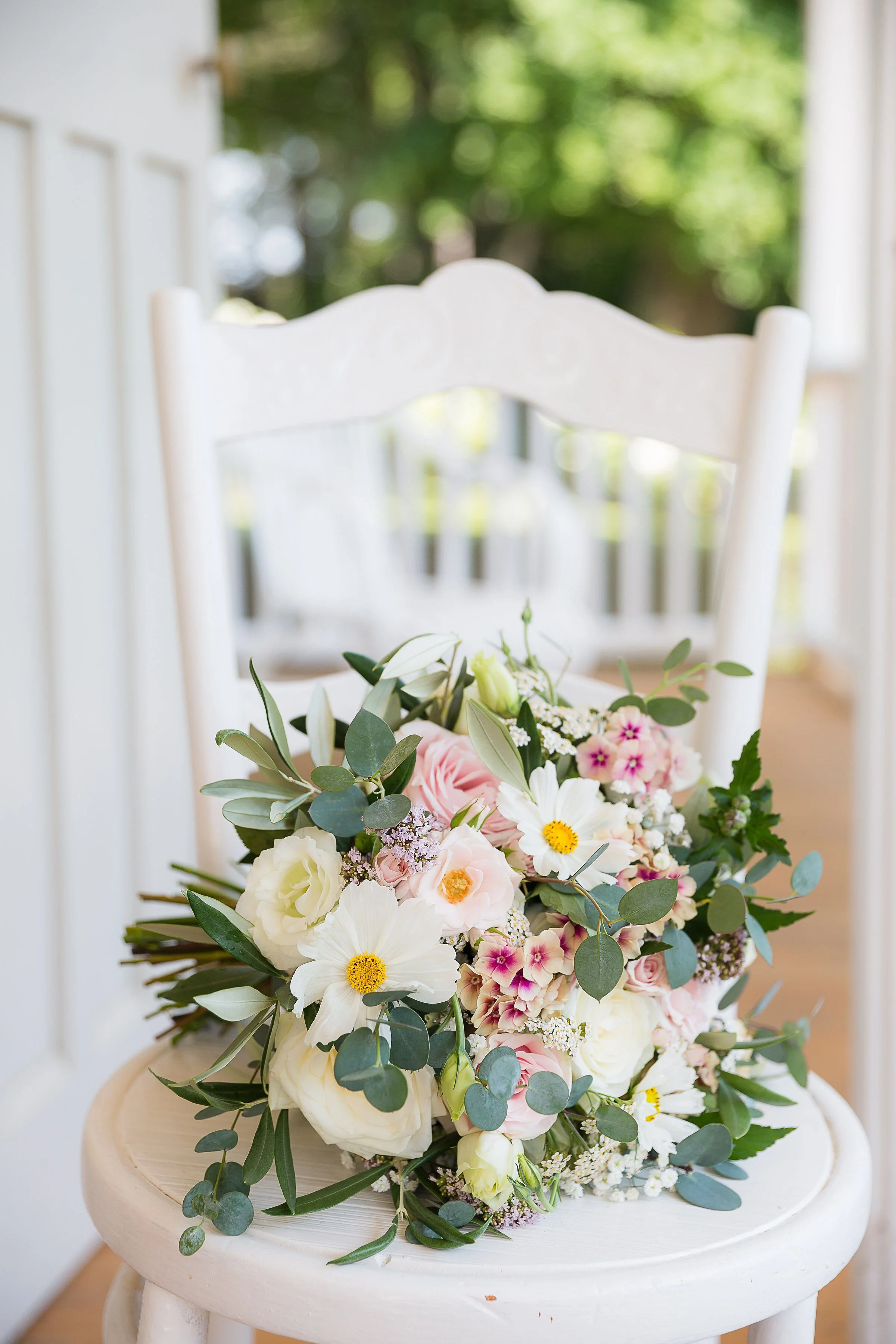 Chelsea Alishahi  - 16056EE3-2A9F-44E5-90EC-112EA9FA24CC.jpeg