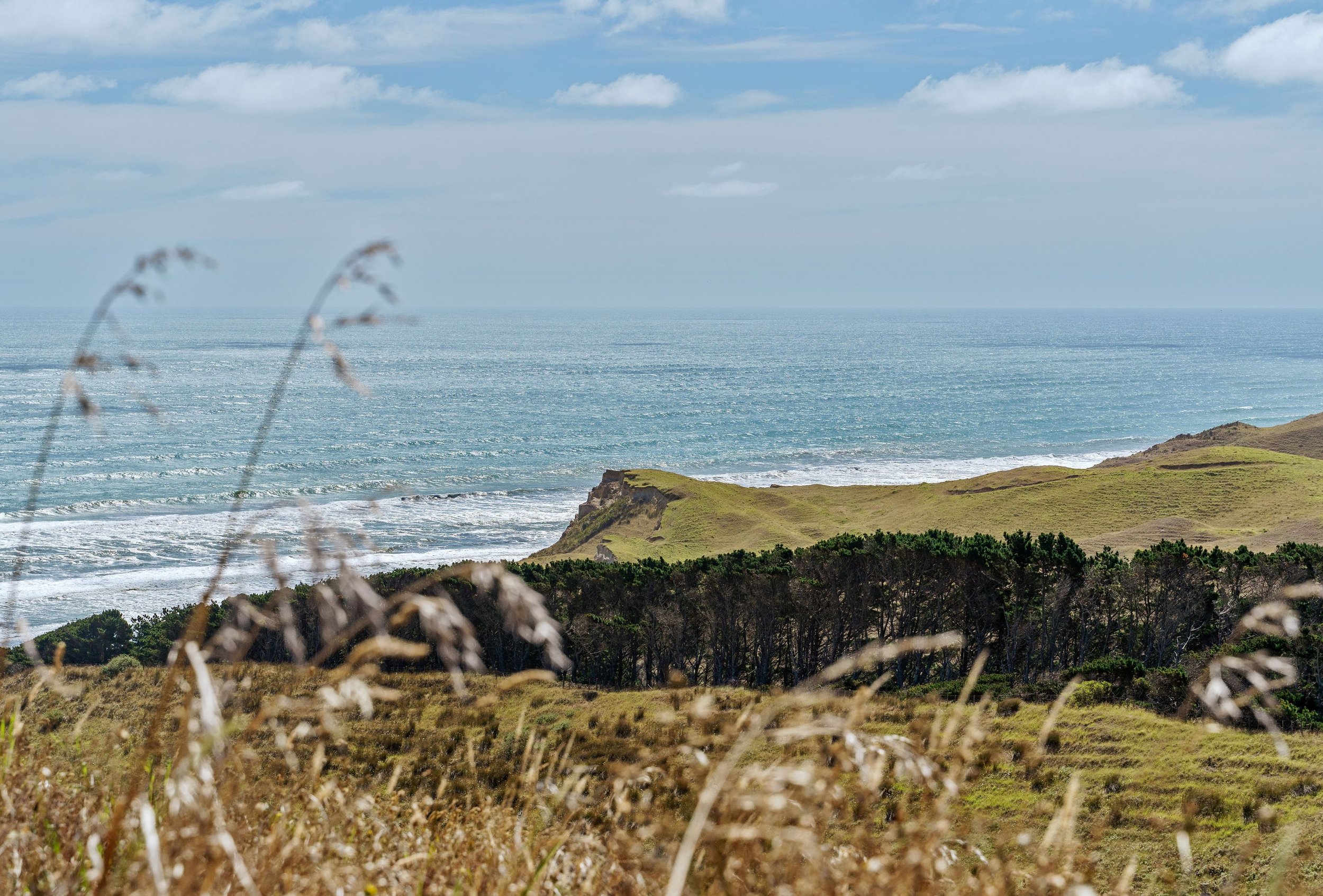.Castaways Resort - Karioitahi Beach, Auckland. — Bride & Groom Magazine