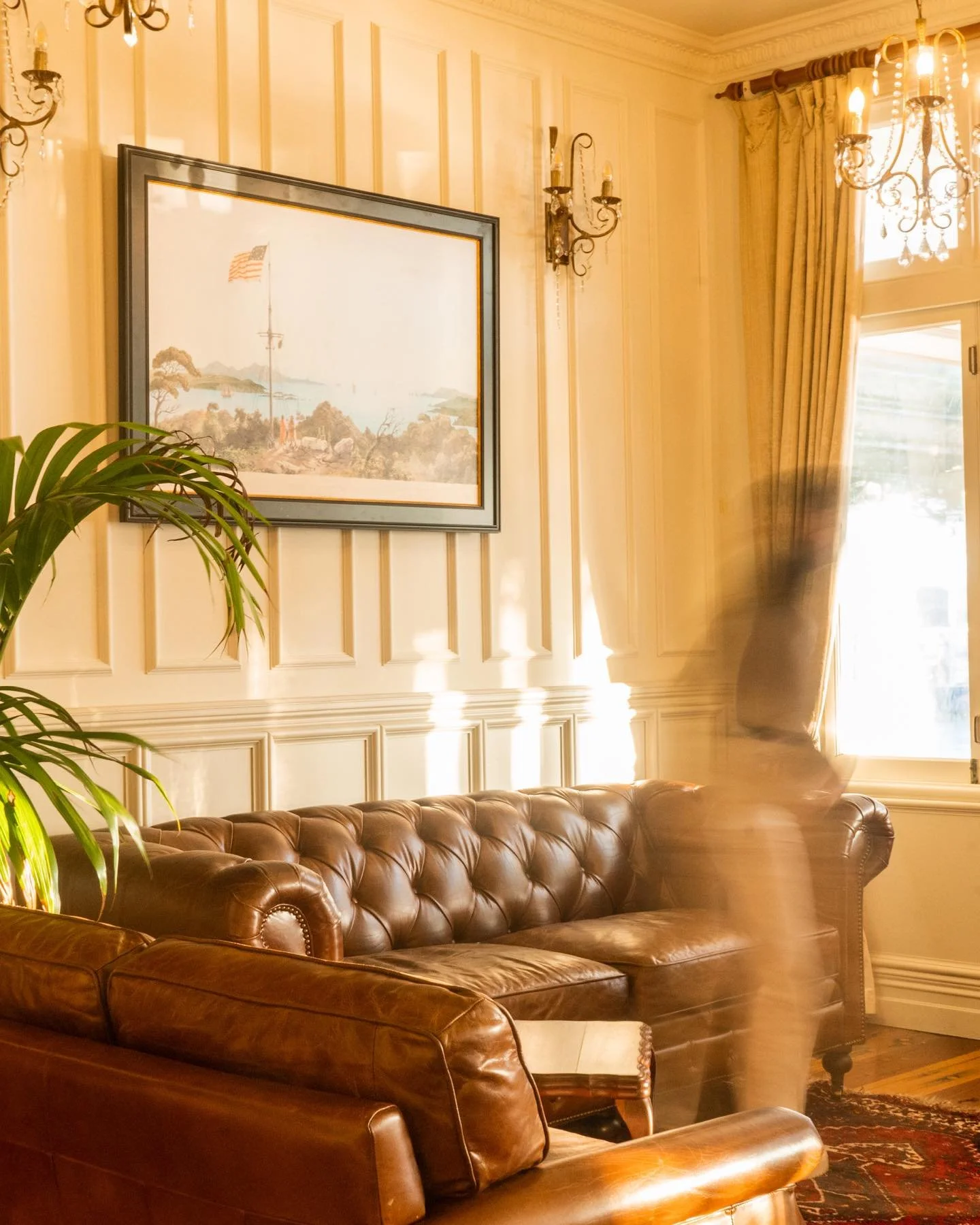 491917519_1243390324456435_4103369081479076112_n (1).jpg