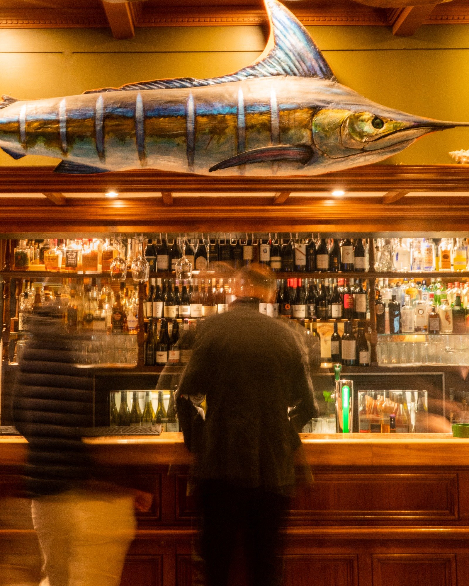 492427738_1250495403745927_2363608477359201586_n (1).jpg