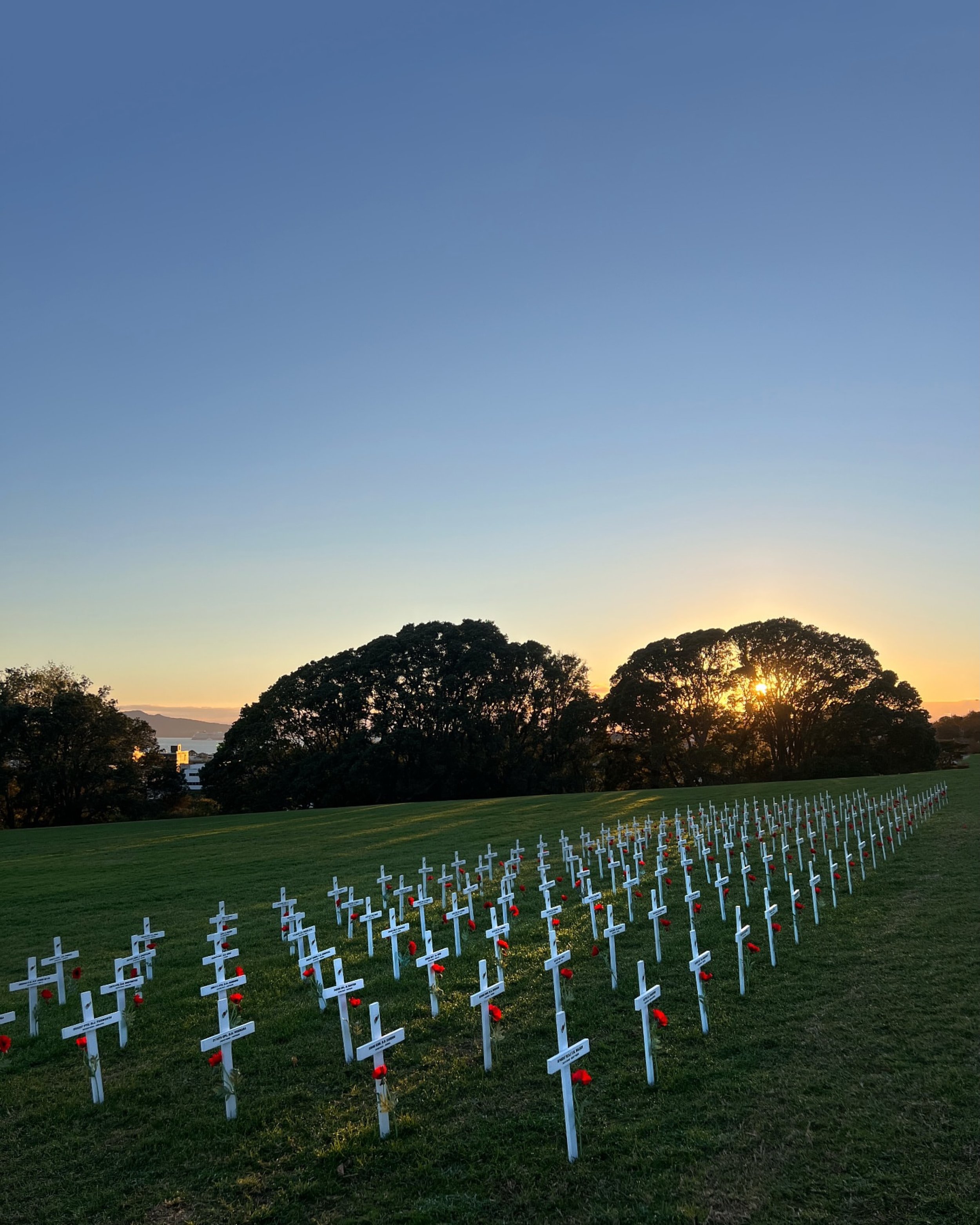 Lest we forget. 
Sending love and light to everyone on this Anzac Day, a day to pause, reflect, and to be grateful for the sacrifices made for us. xx
#wewillrememberthem #anzacday #lestweforget #aucklanddomain