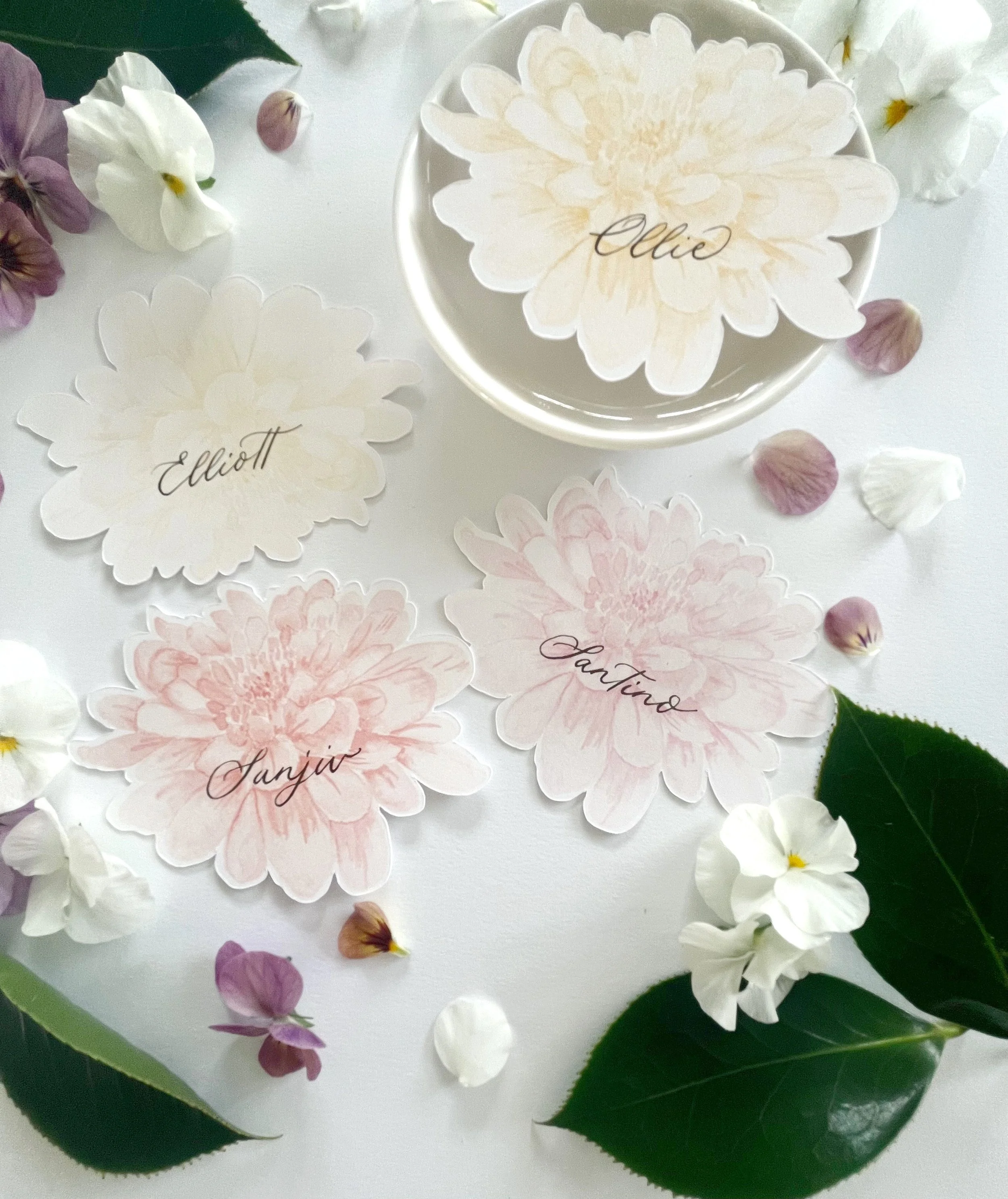 Dahlias.JPG