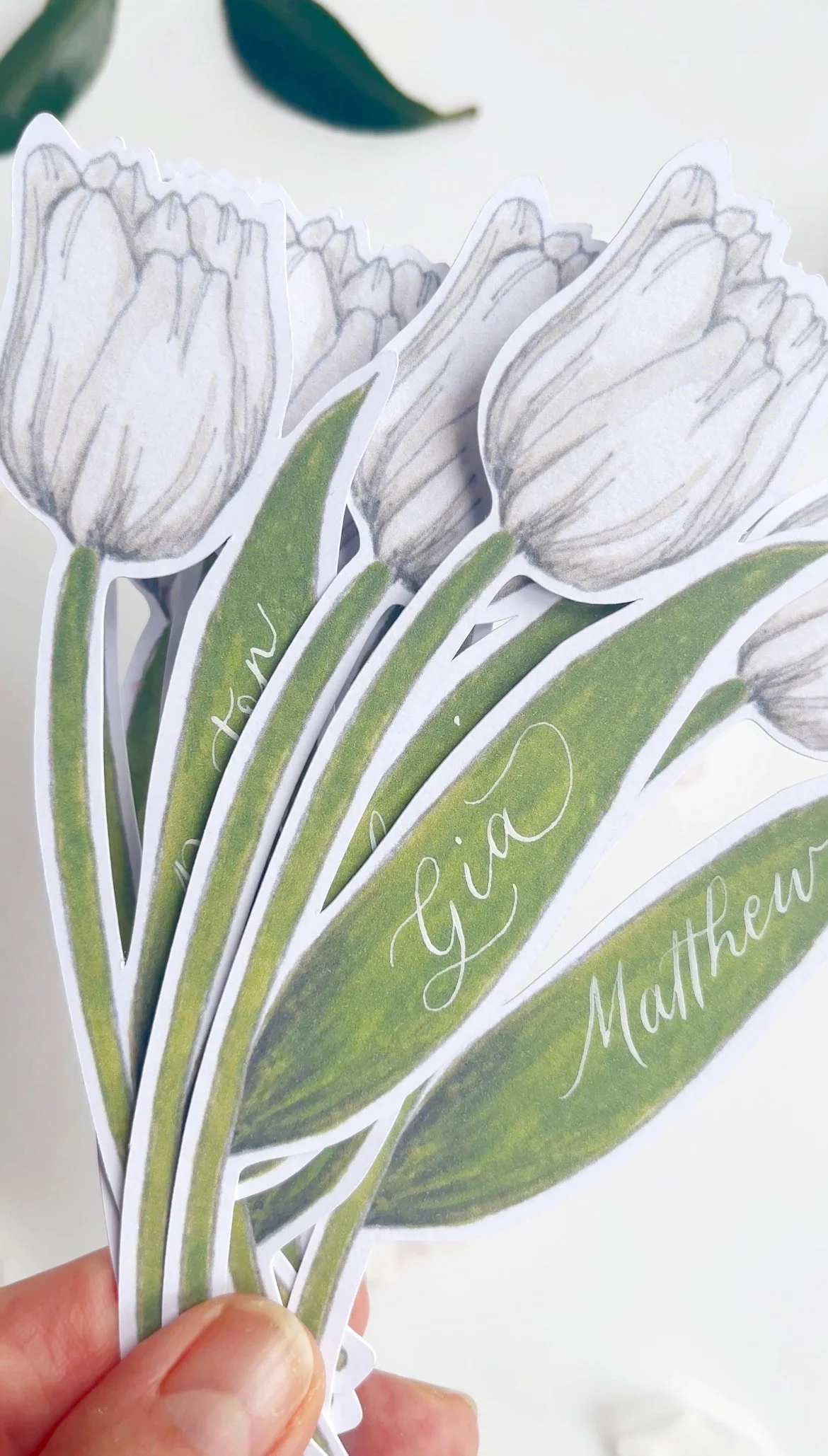 White Tulip.jpg