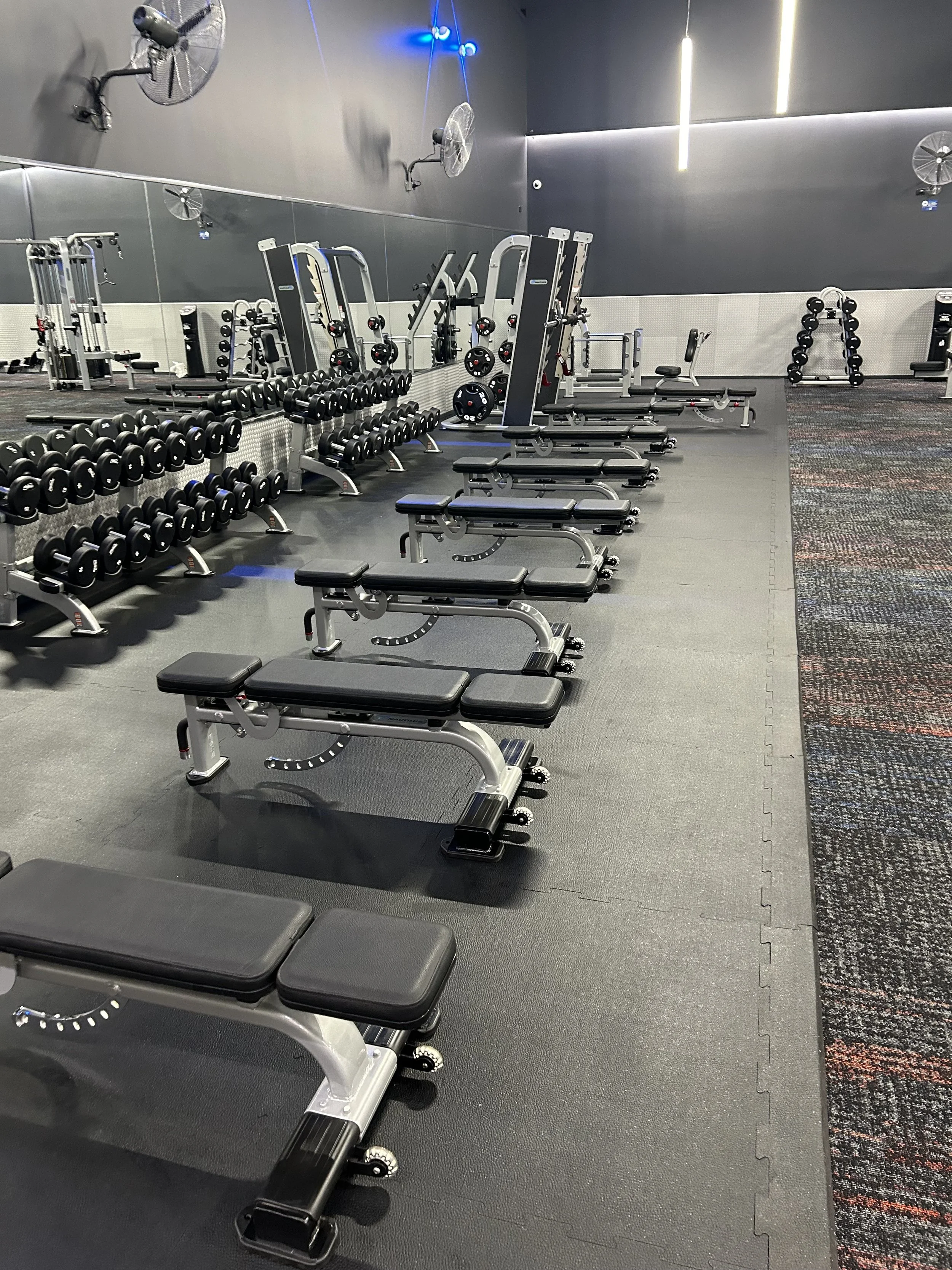 Simplicity - Gym Floor.jpg