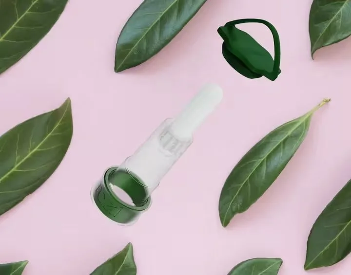 Tazi-top-view-green-leafs-concept_converted.jpg
