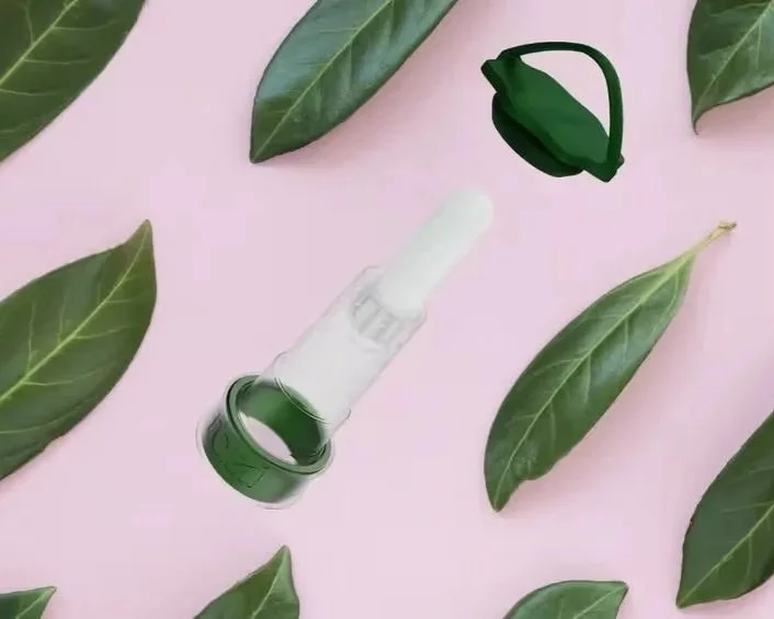 Tazi-top-view-green-leafs-concept_converted.jpg