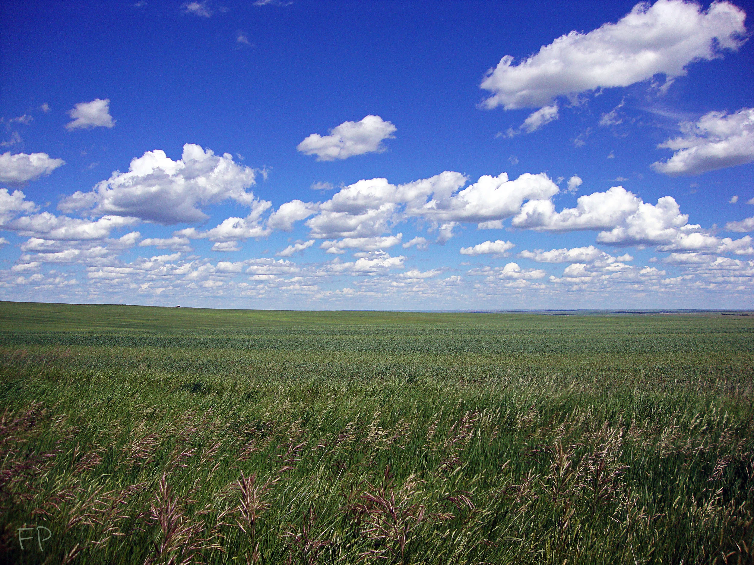 Eastern_MT_BlueSkyCountry.jpg