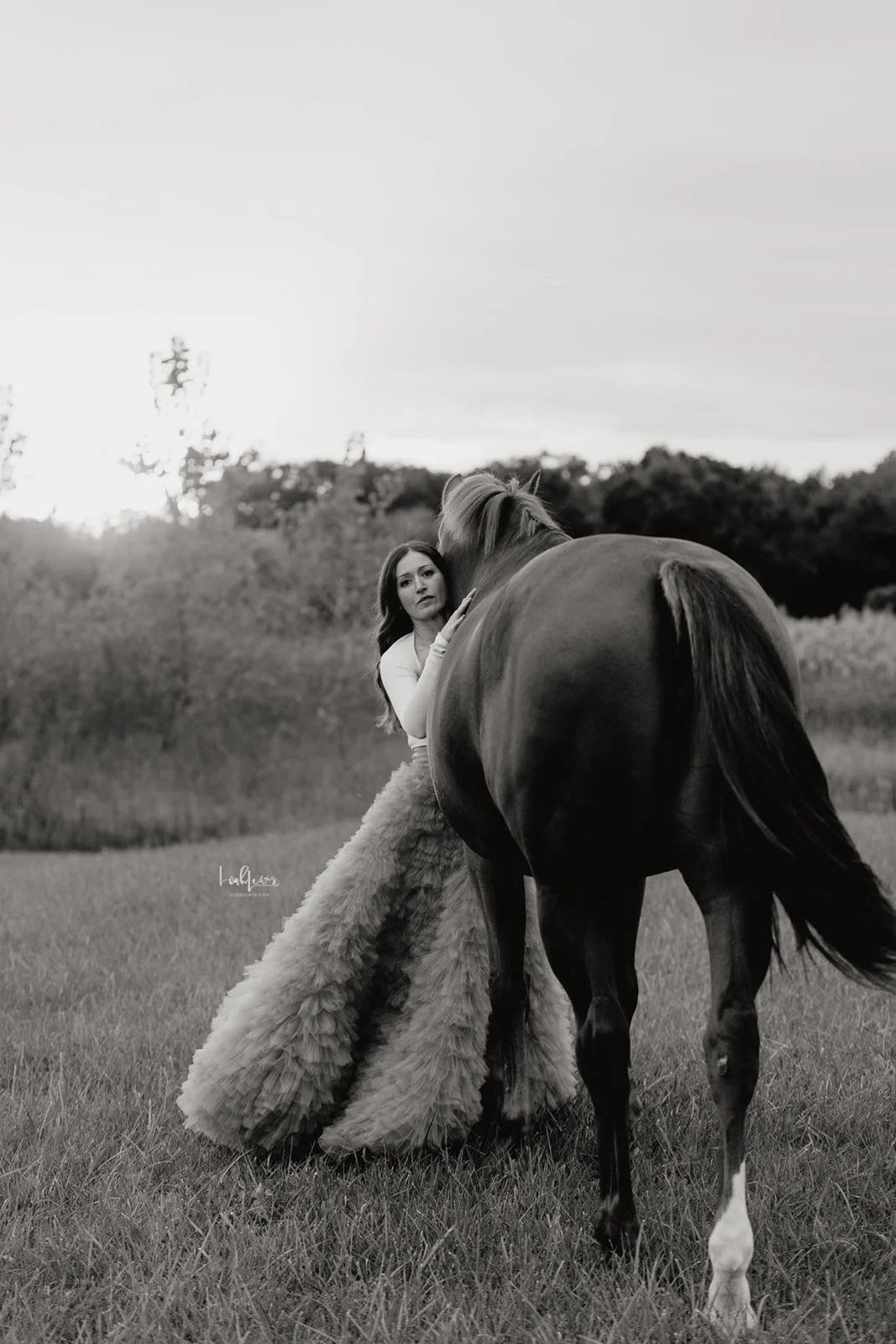 898A7301_websize (1).jpg