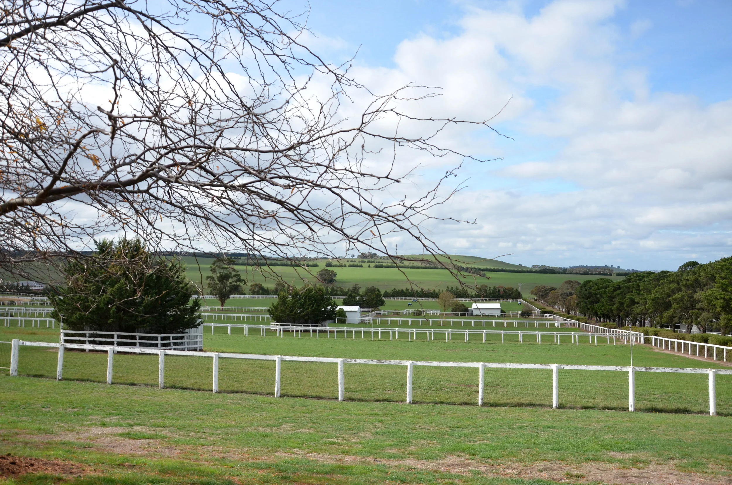 farm_DSC_3627.jpg