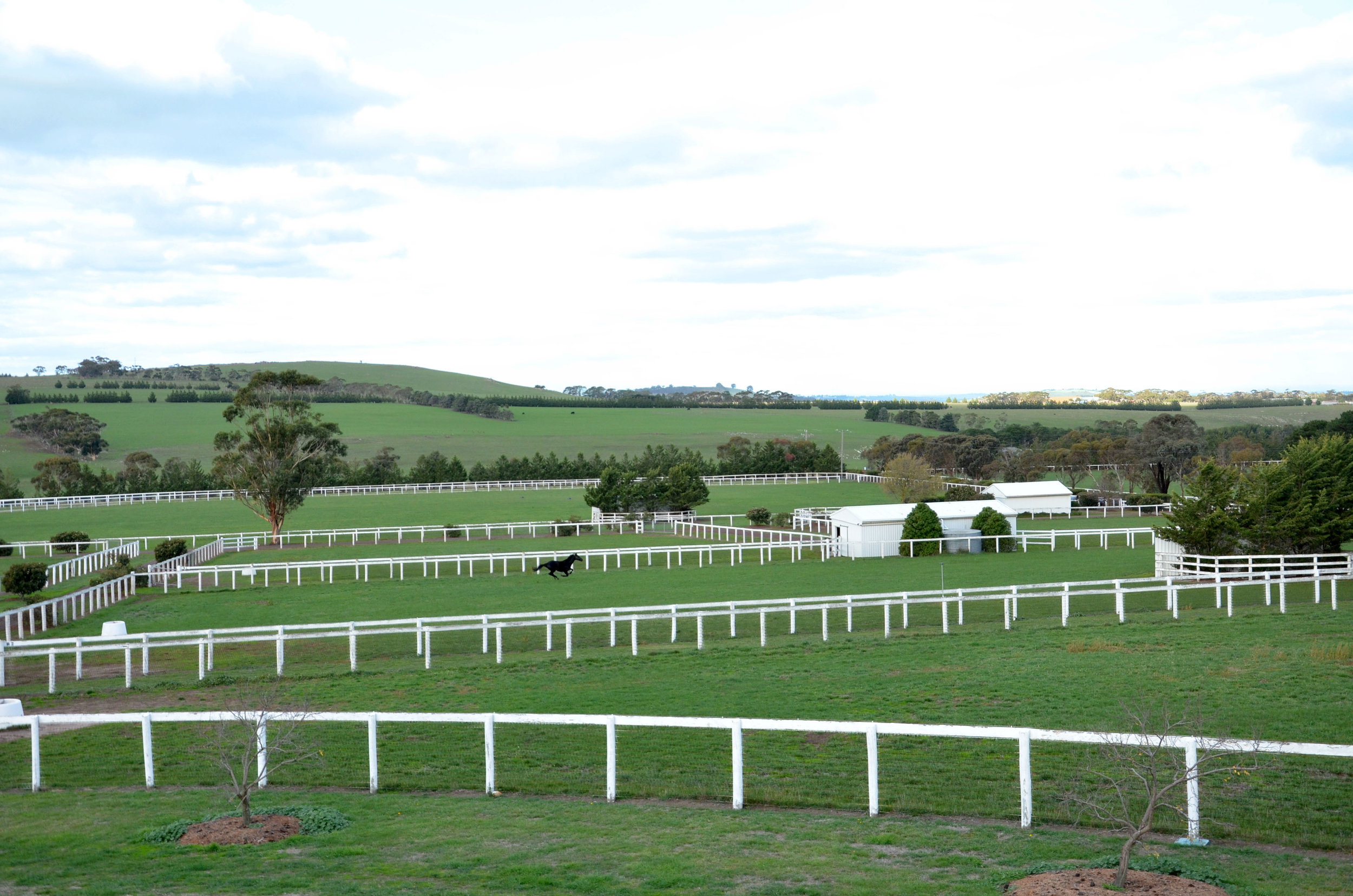 5 farm_DSC_3809.jpg