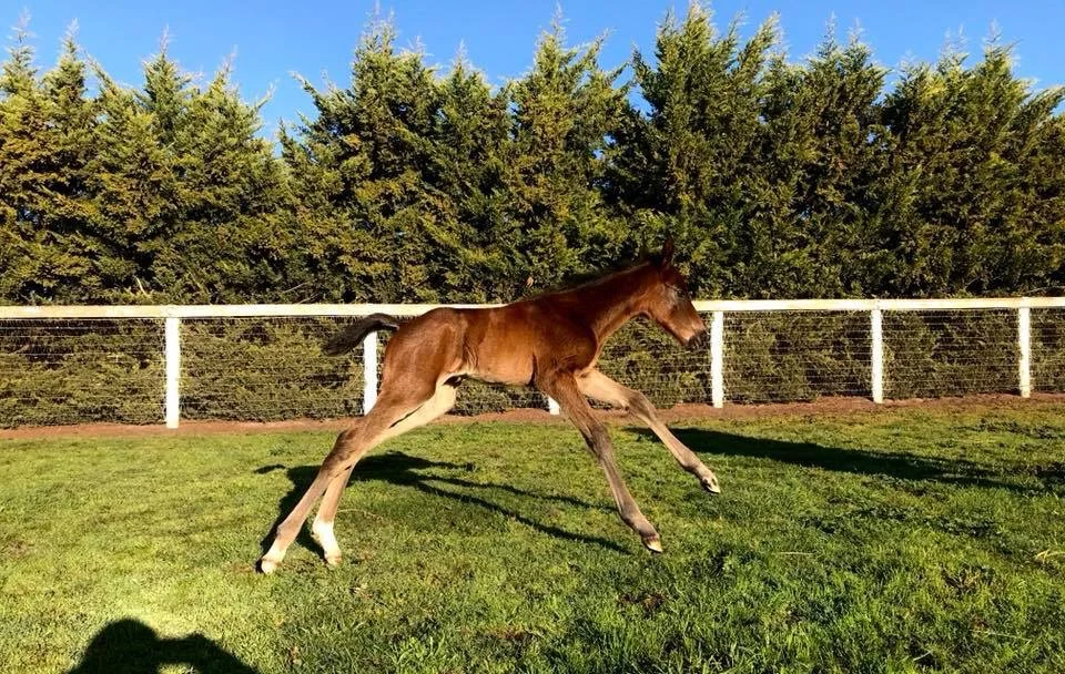 Cityview Farm Card pic.JPG