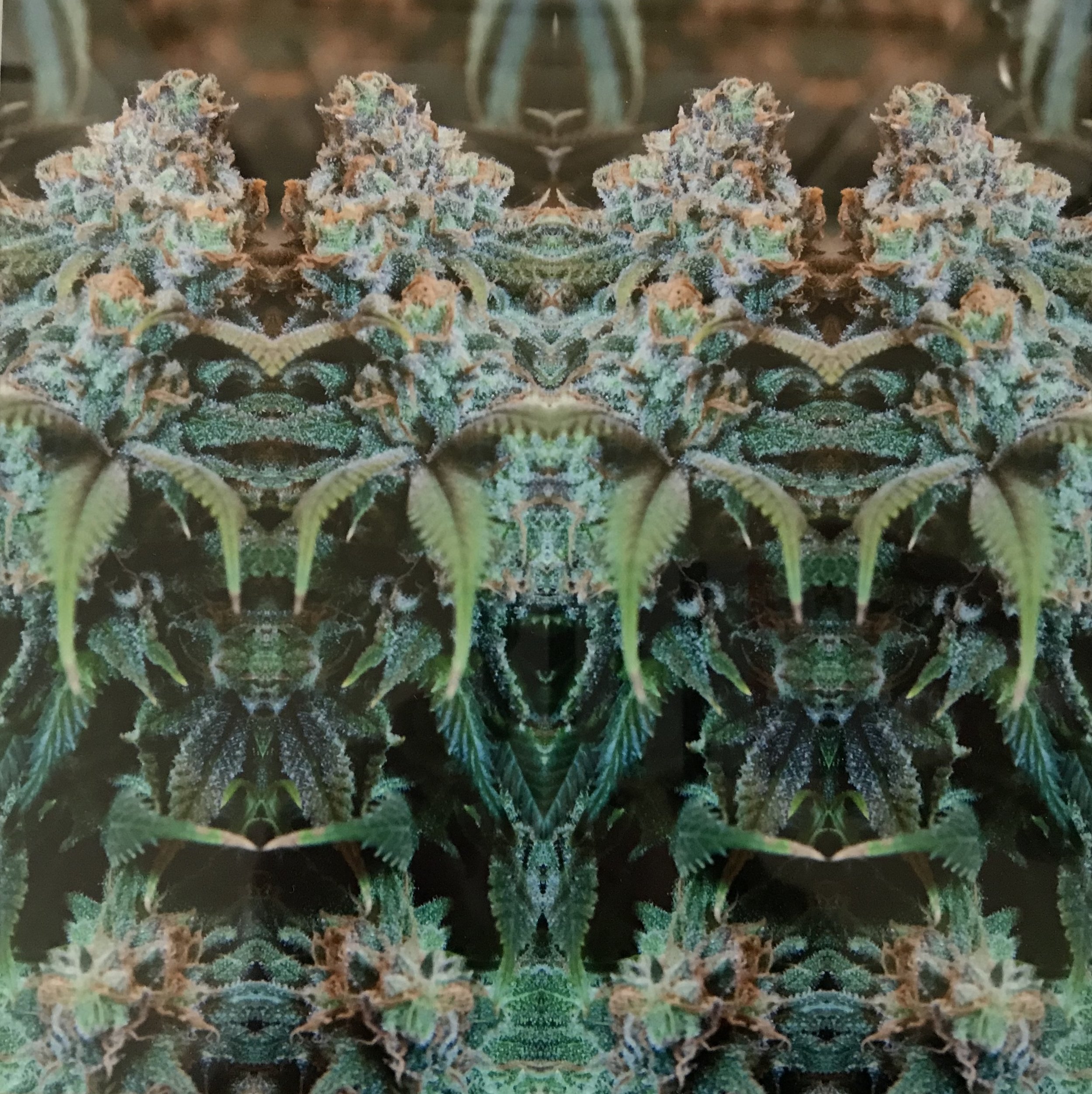 C739400E-2FC0-420F-8F96-8A8FE583C3CB.jpeg