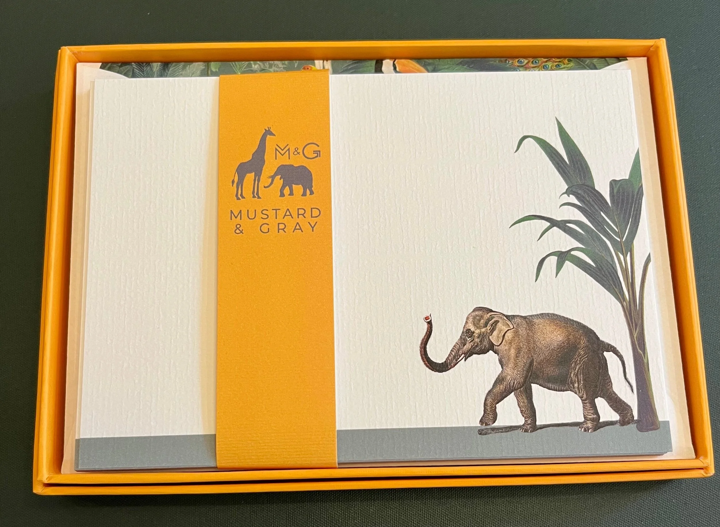 02FEED62-467F-4125-8B0B-FF2C266E01D0