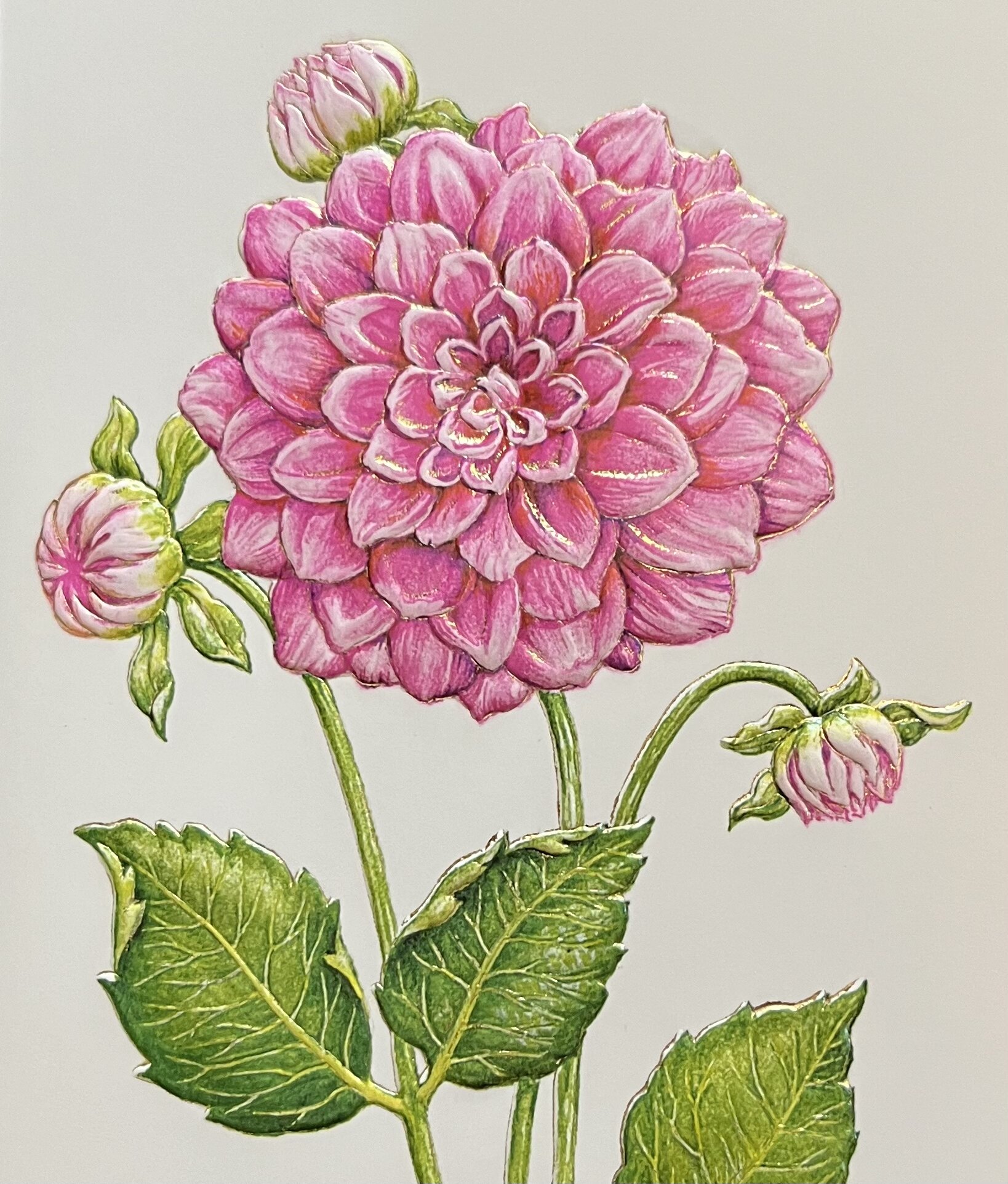 BB13D8F1-8A26-4B4C-BC15-F539EE3B4539