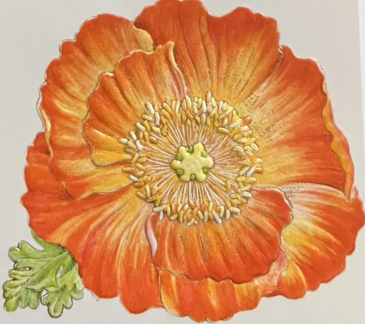 BE1B6DC2-38BE-4A49-9985-574612C30297