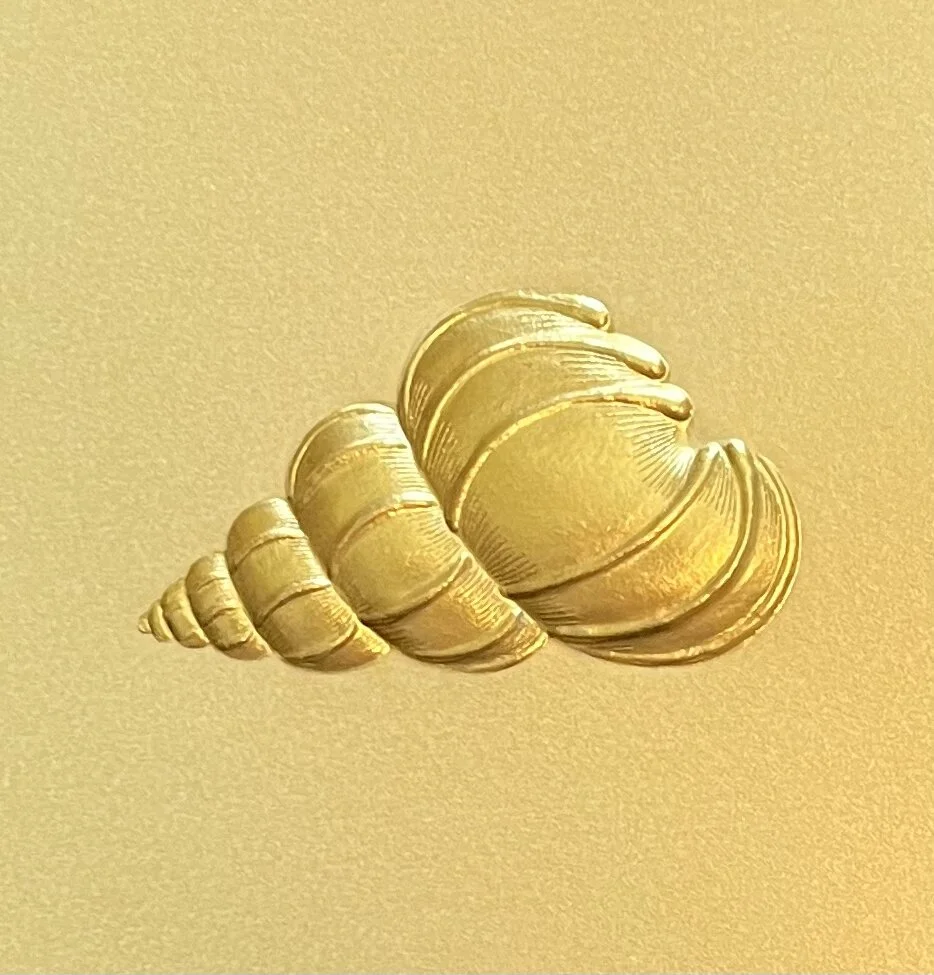 700805B0-4B07-4D94-B846-F90D9EB6BA0B