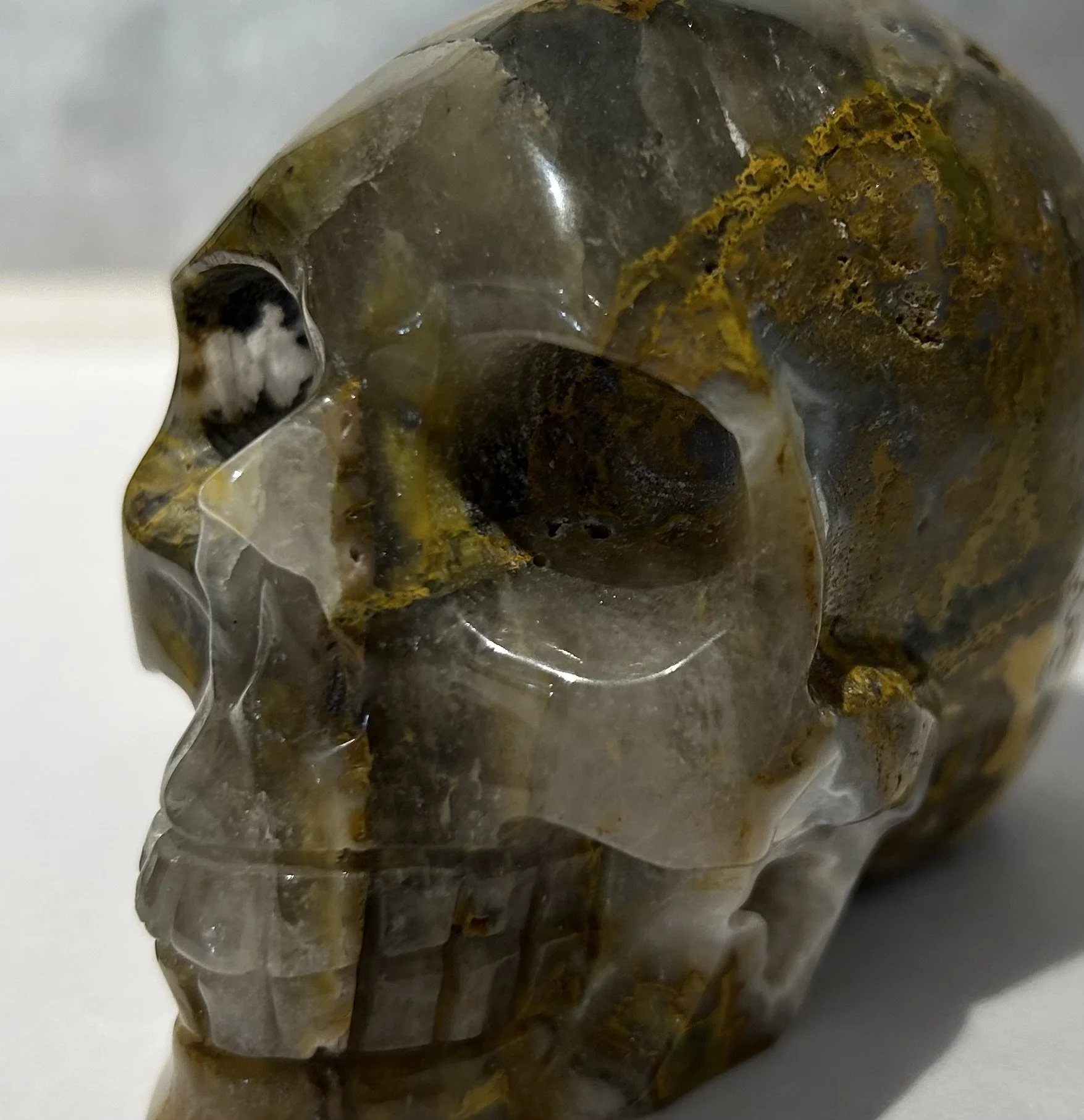 Skull, Pietersite Paperweight