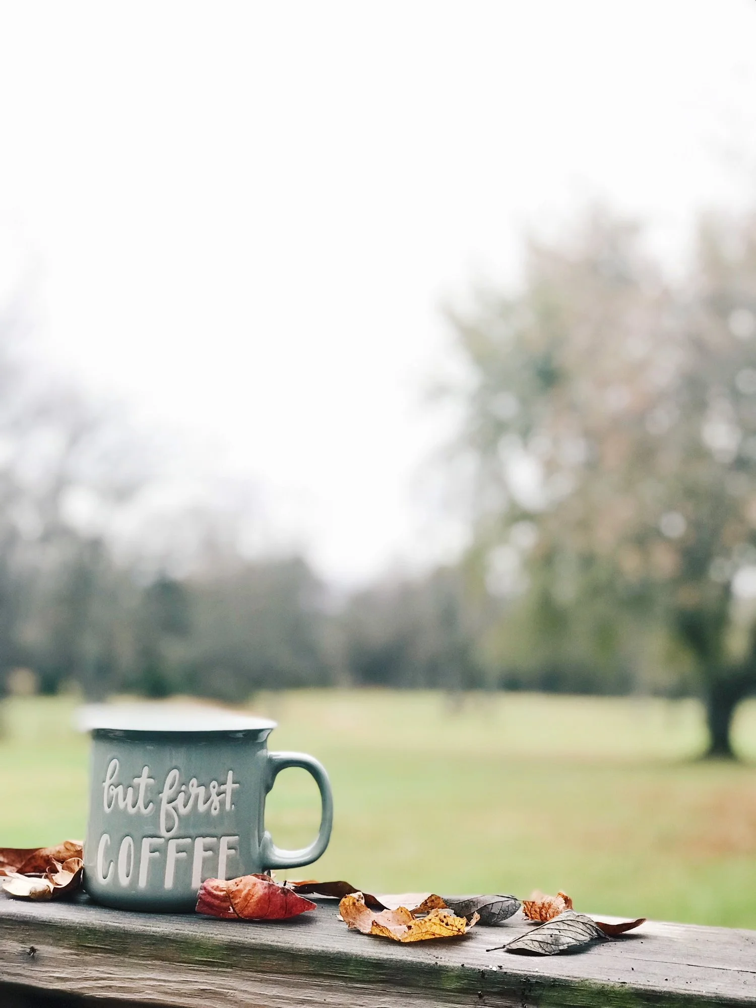 Easy and Simple Fall Decor