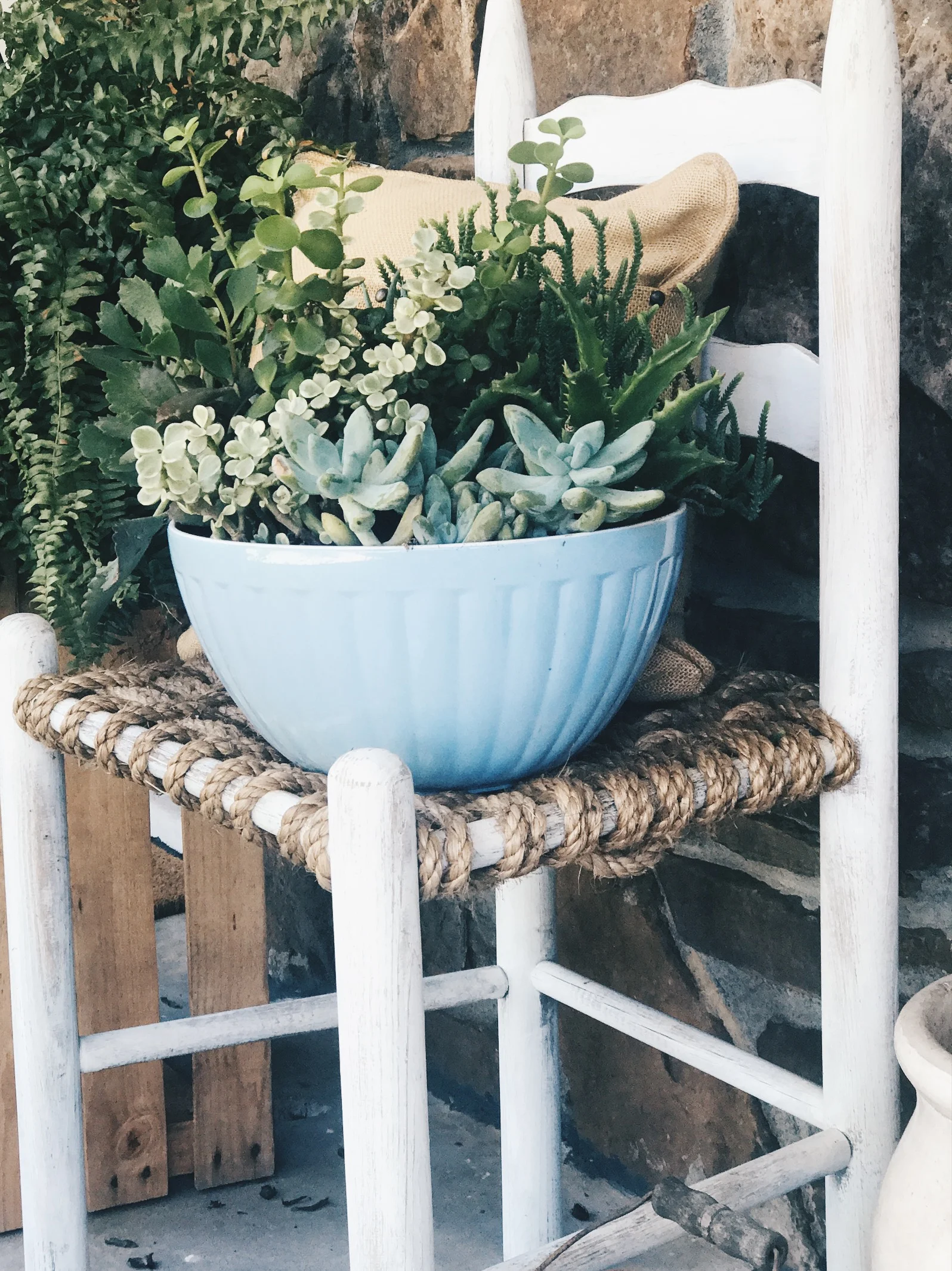 How To: Unique and Easy Potted Succulents 
