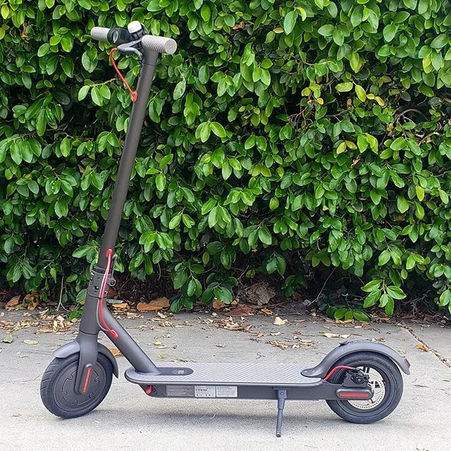 Check out my new whip 🛴
.
💥Got this scooter as an early birthday gift🎁 [APRIL 10TH]
.
Parking in my neighborhood is awful🚗 since I live close to the beach⛱. This will help me a lot to be able to get to my car in the morning lol. and not loose my 