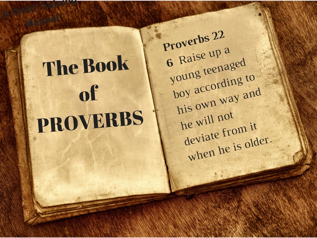 Proverbs is not a child training manual (Part 1) — Relavate