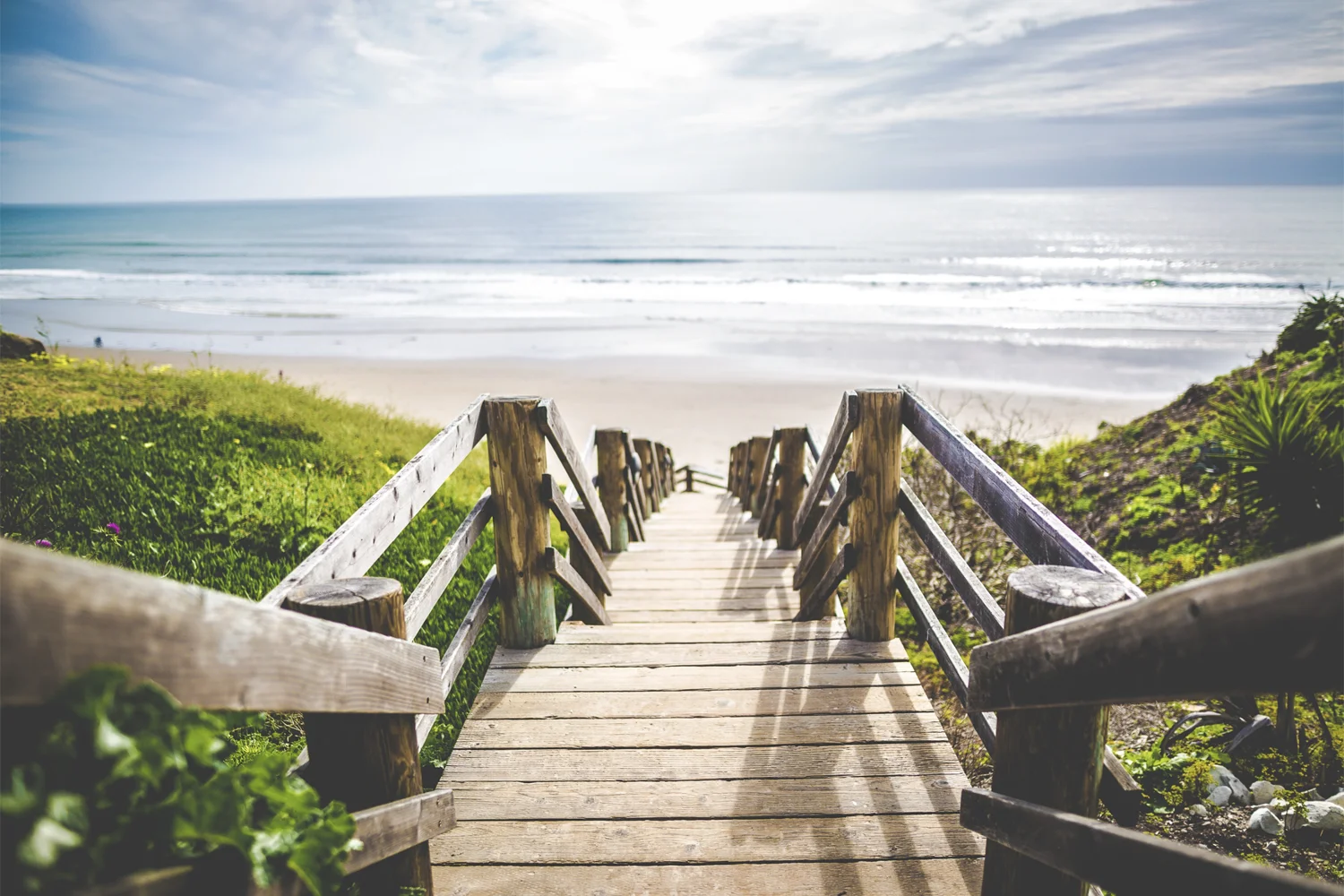 pacific-weath-creators-path.jpg