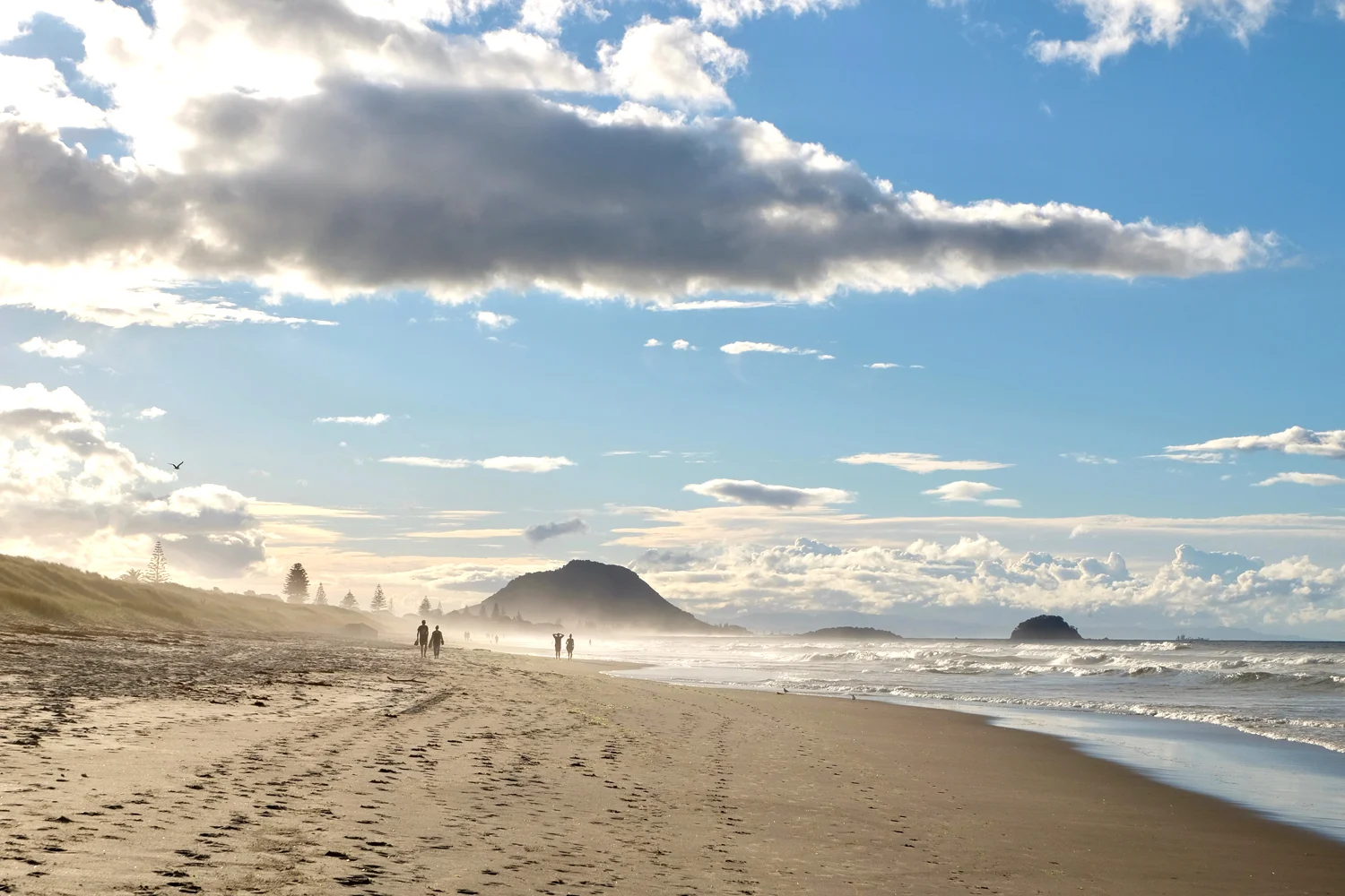 pacific-weath-creators-mt-maunganui.jpg