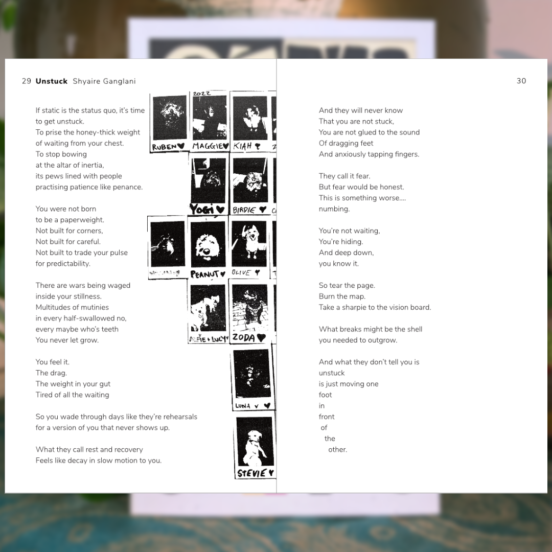 Chaotic Musings Vol 3 Interior 