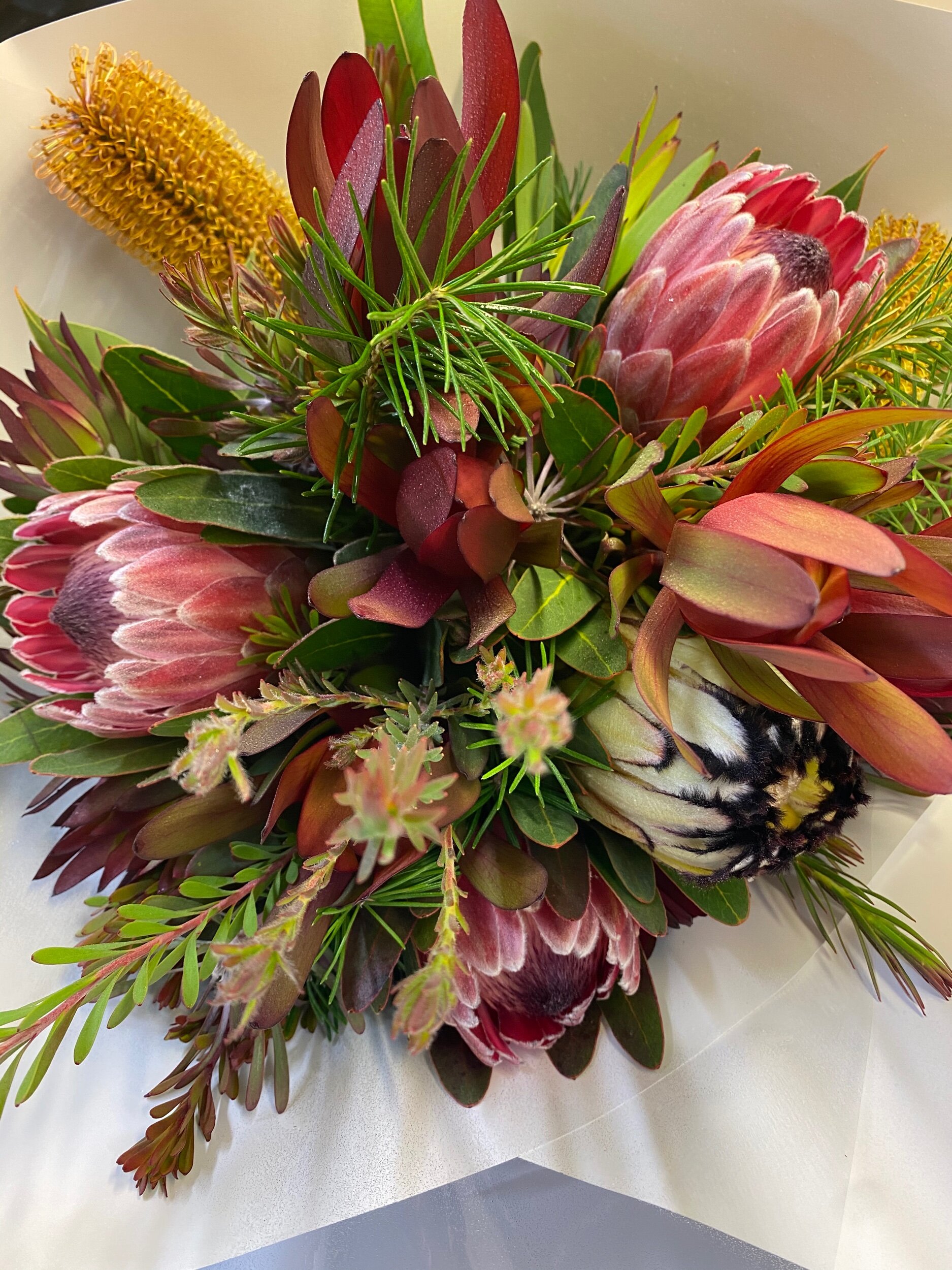 53589049-5C2D-471B-90F8-4912CB3B8E80