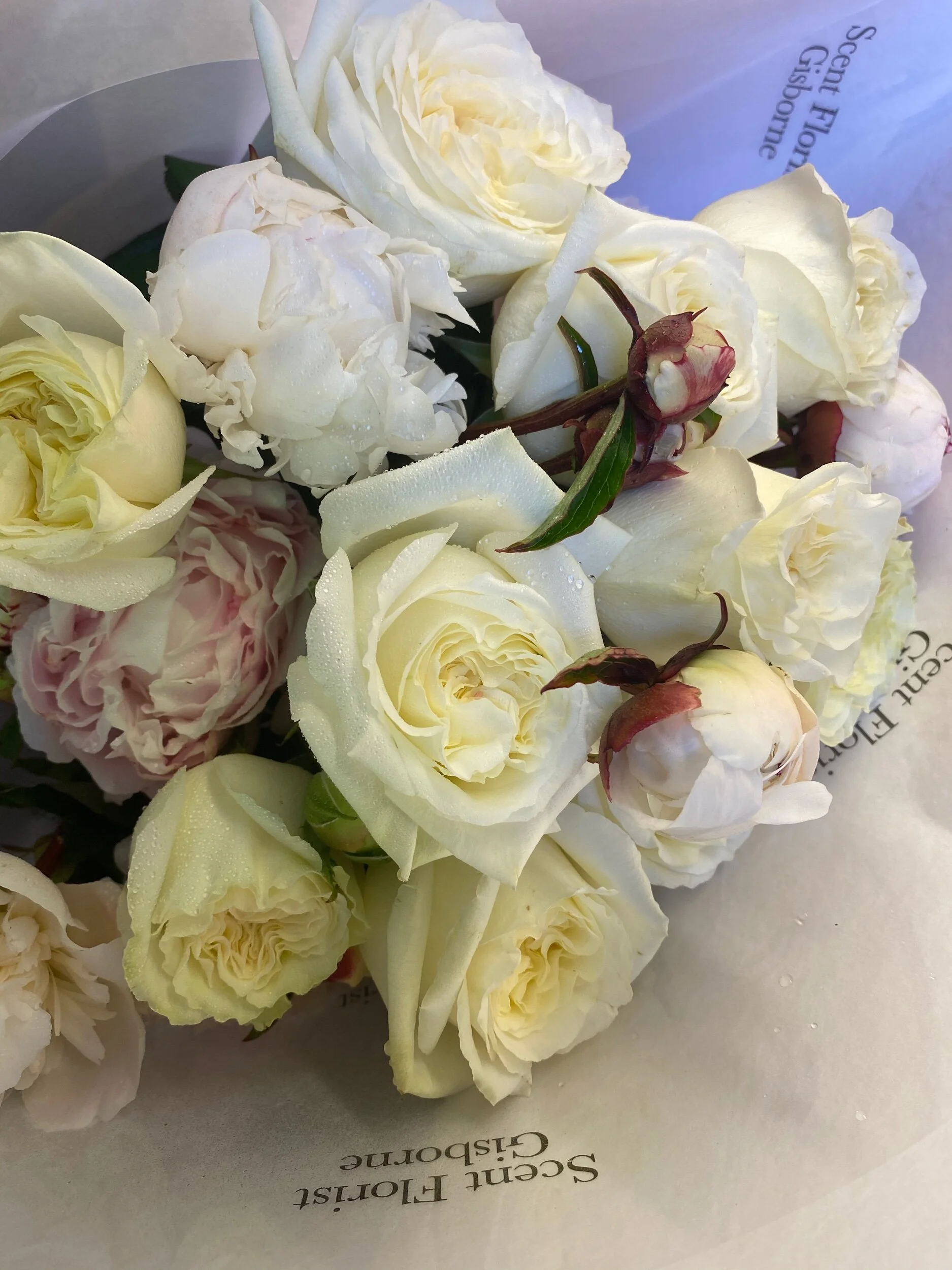 97F2CB6D-023E-4FFF-AB0E-05691A745B4B